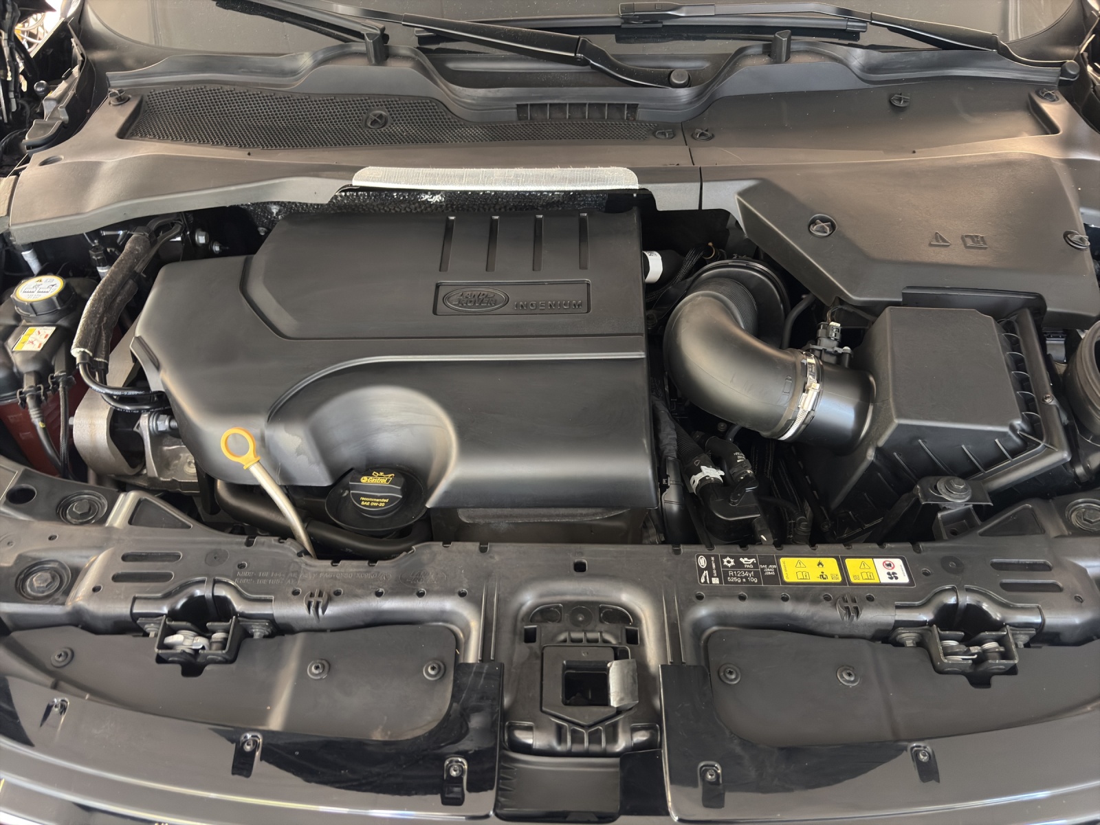 LAND ROVER Evoque P 200 MHEV-image-17