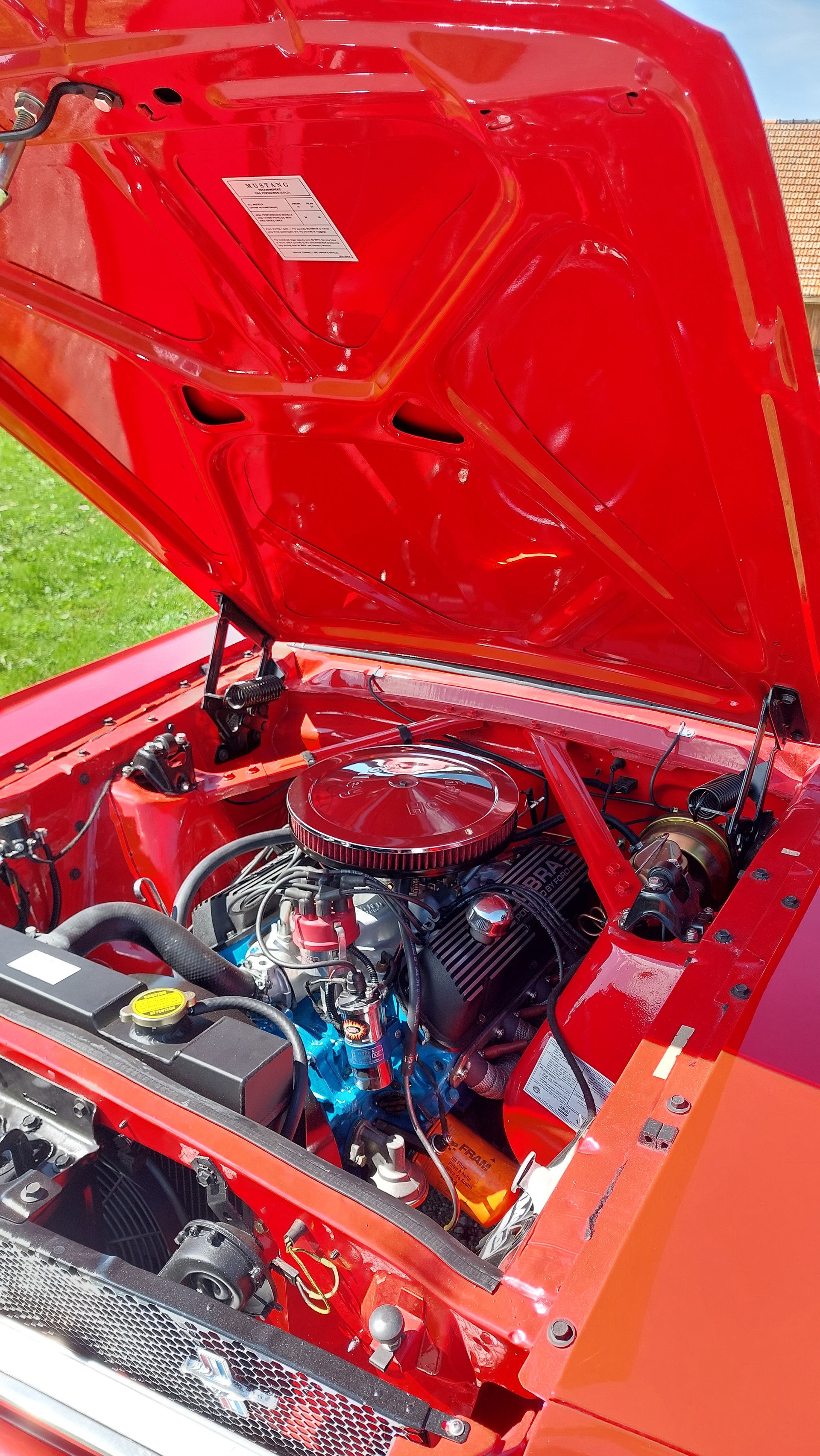 FORD FASTBACK-image-2