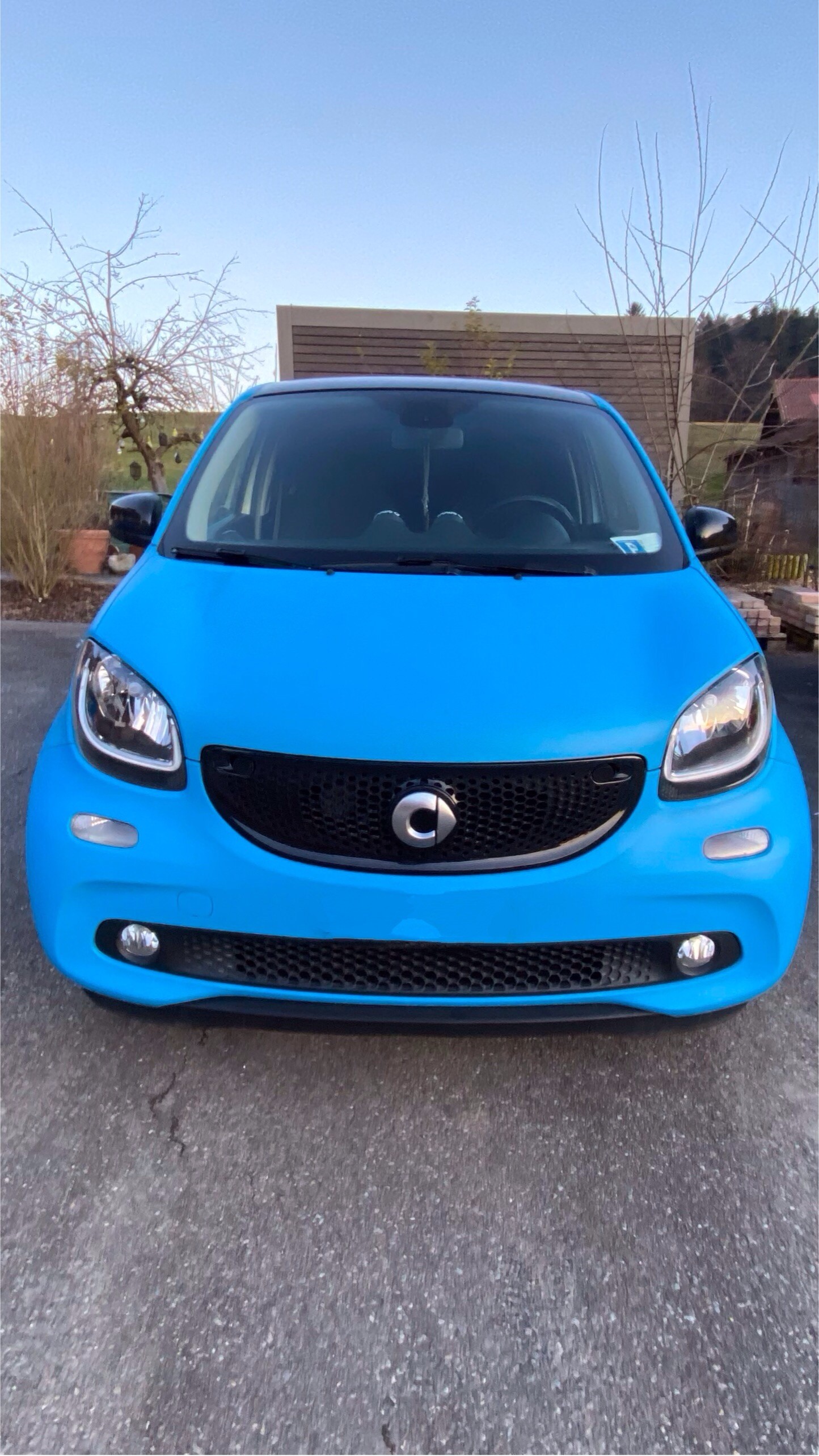 SMART Forfour Twinamic-image-1
