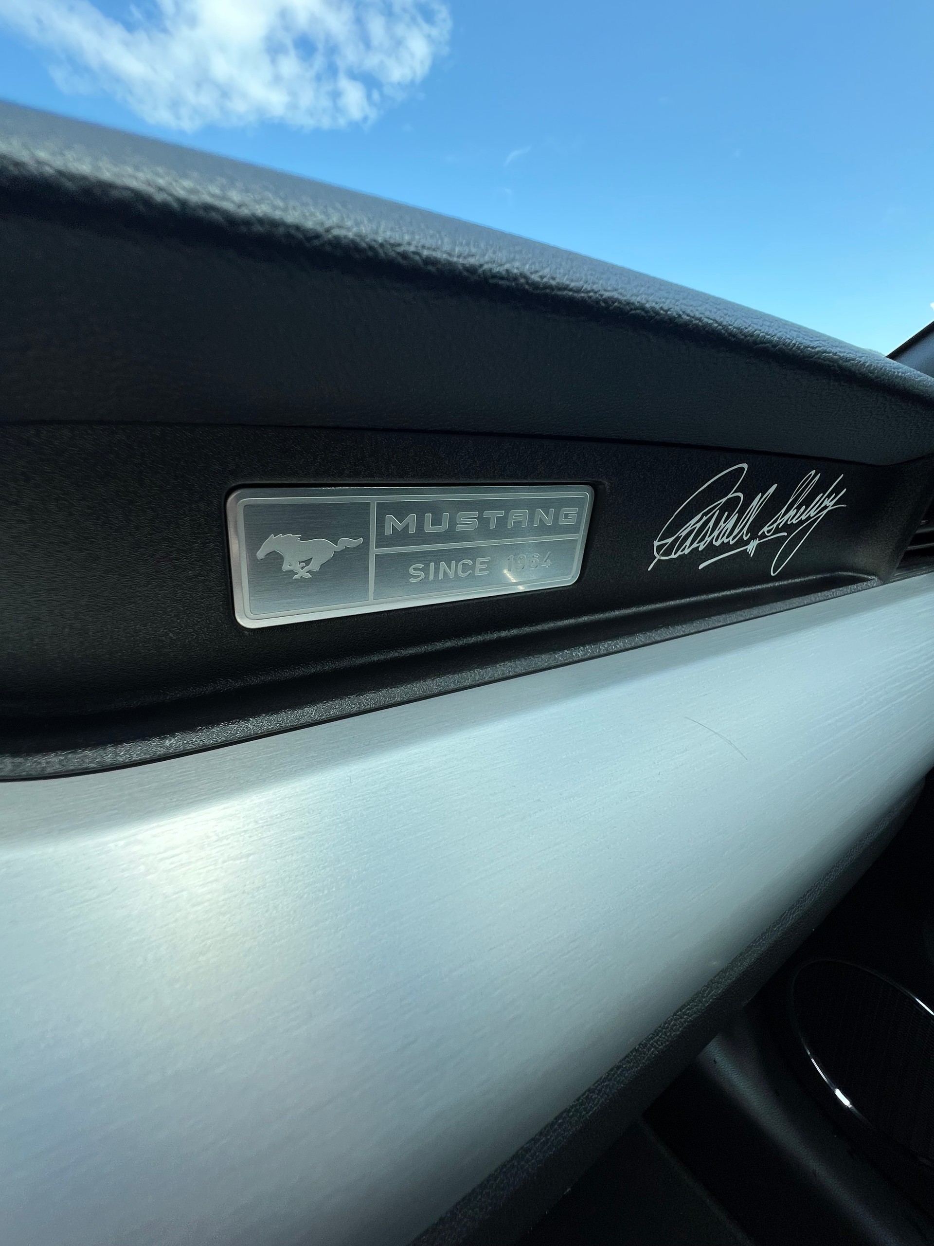 FORD Mustang Fastback 2.3 Automat-image-11