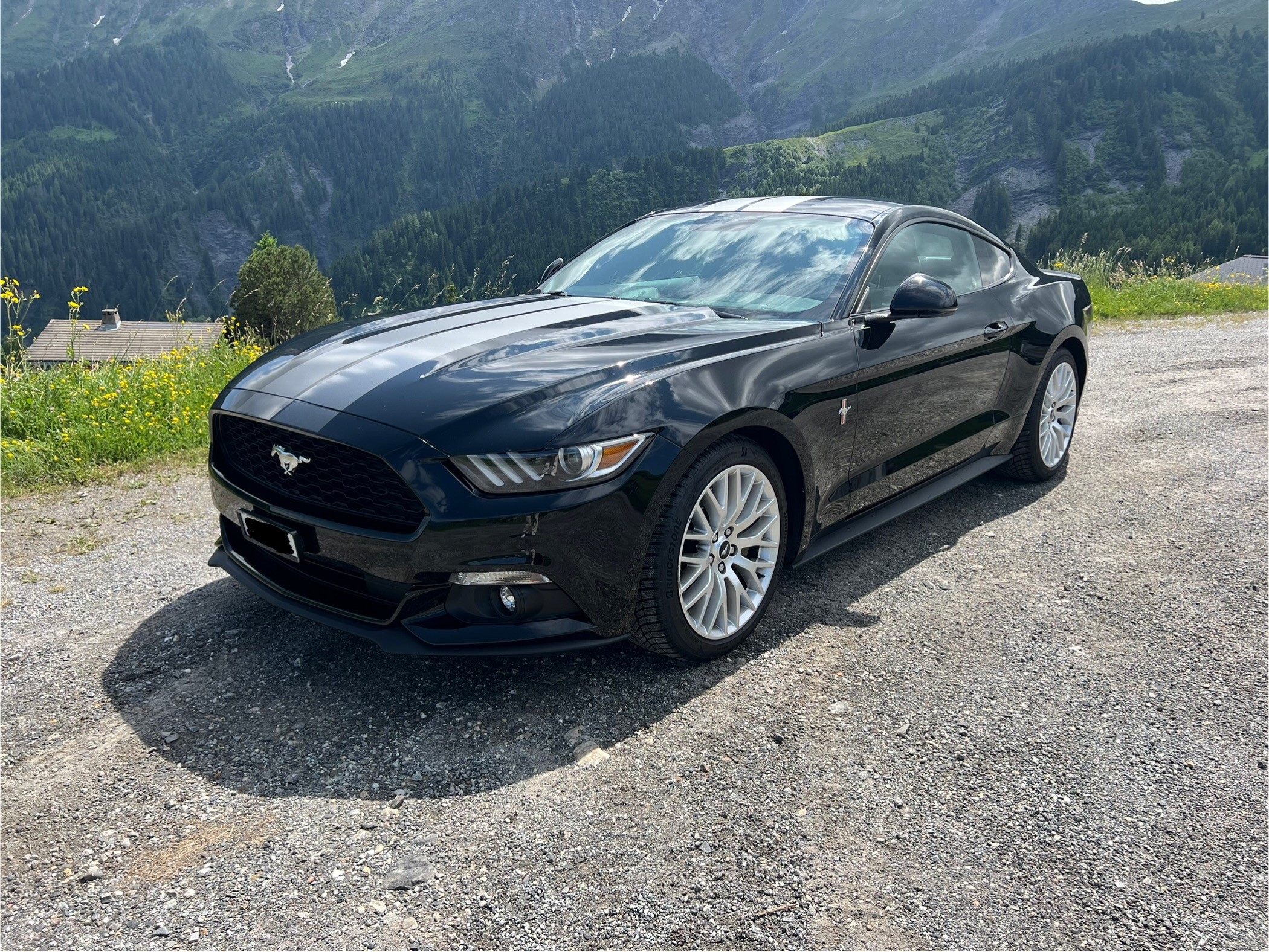 FORD Mustang Fastback 2.3 Automat (Coupé) Ford FORD Mustang Fastback 2.3 Automat (Coupé)