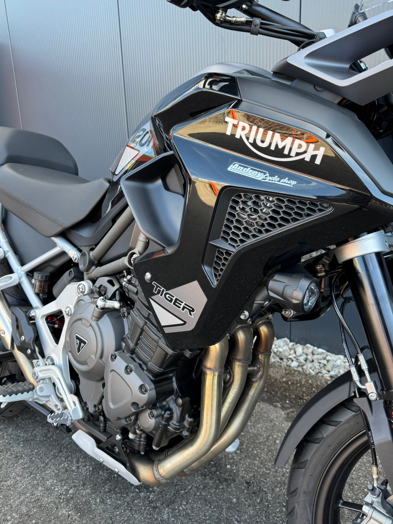 TRIUMPH Tiger 1200 GT Pro-image-5