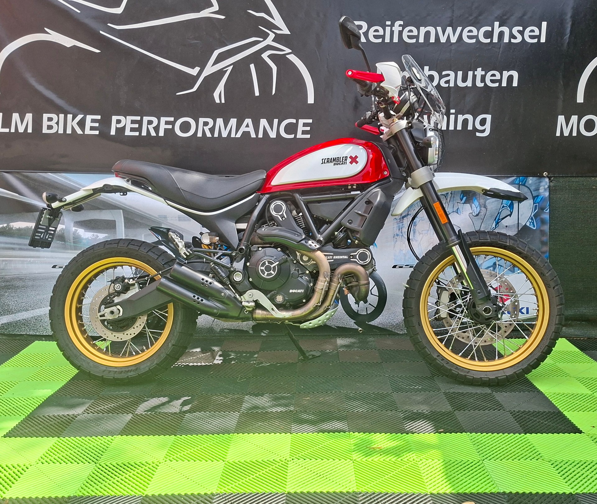 DUCATI Scrambler 800 Desert Sled