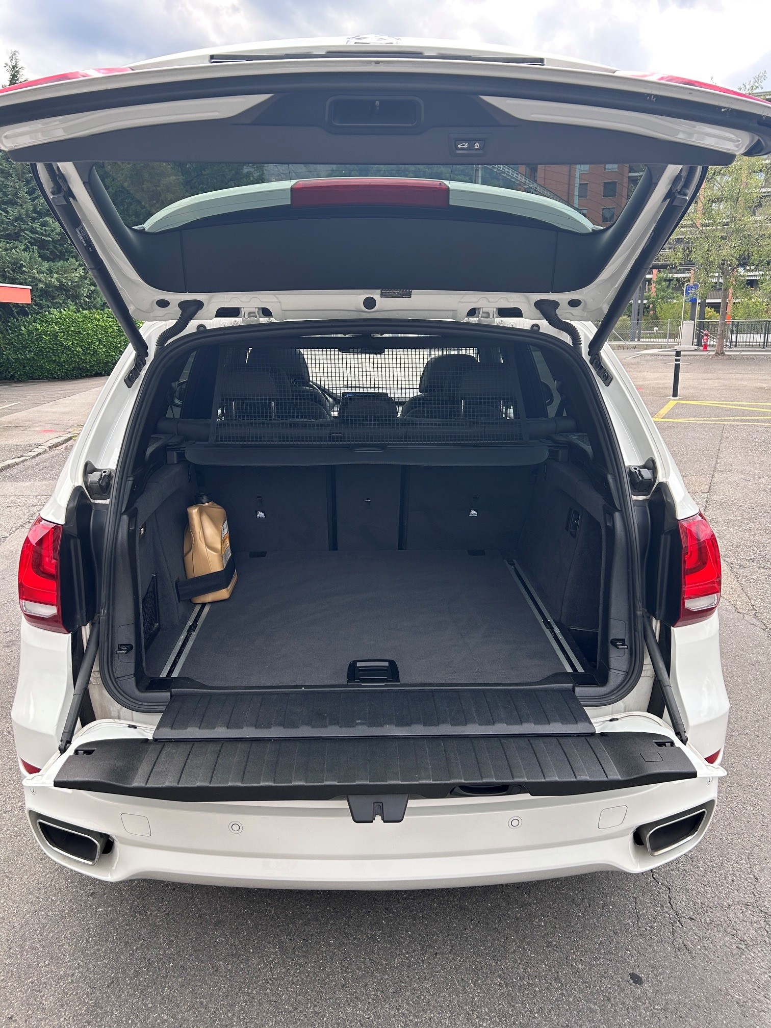 BMW X5 xDrive 40d Steptronic-image-18