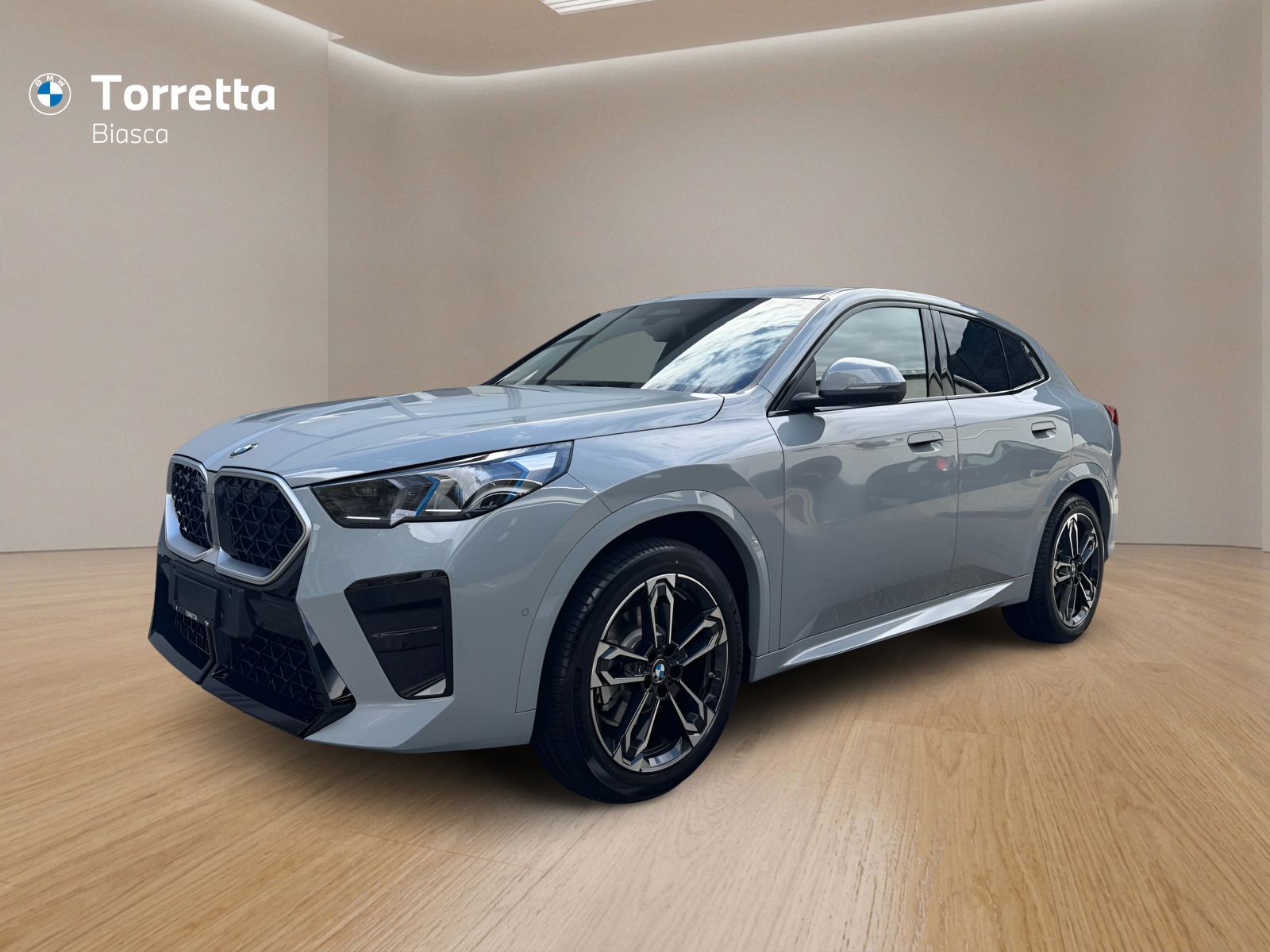 BMW X2 sDrive 20i 48V M Sport-image-0