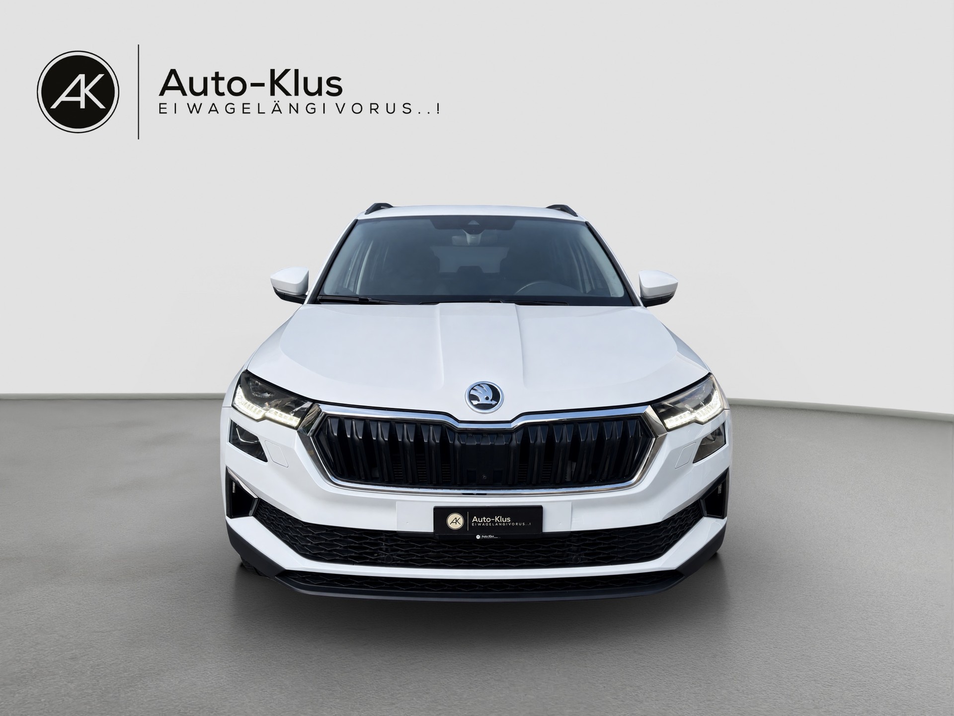 SKODA Karoq 2.0 TDI CR Ambition 4x4 DSG-image-0