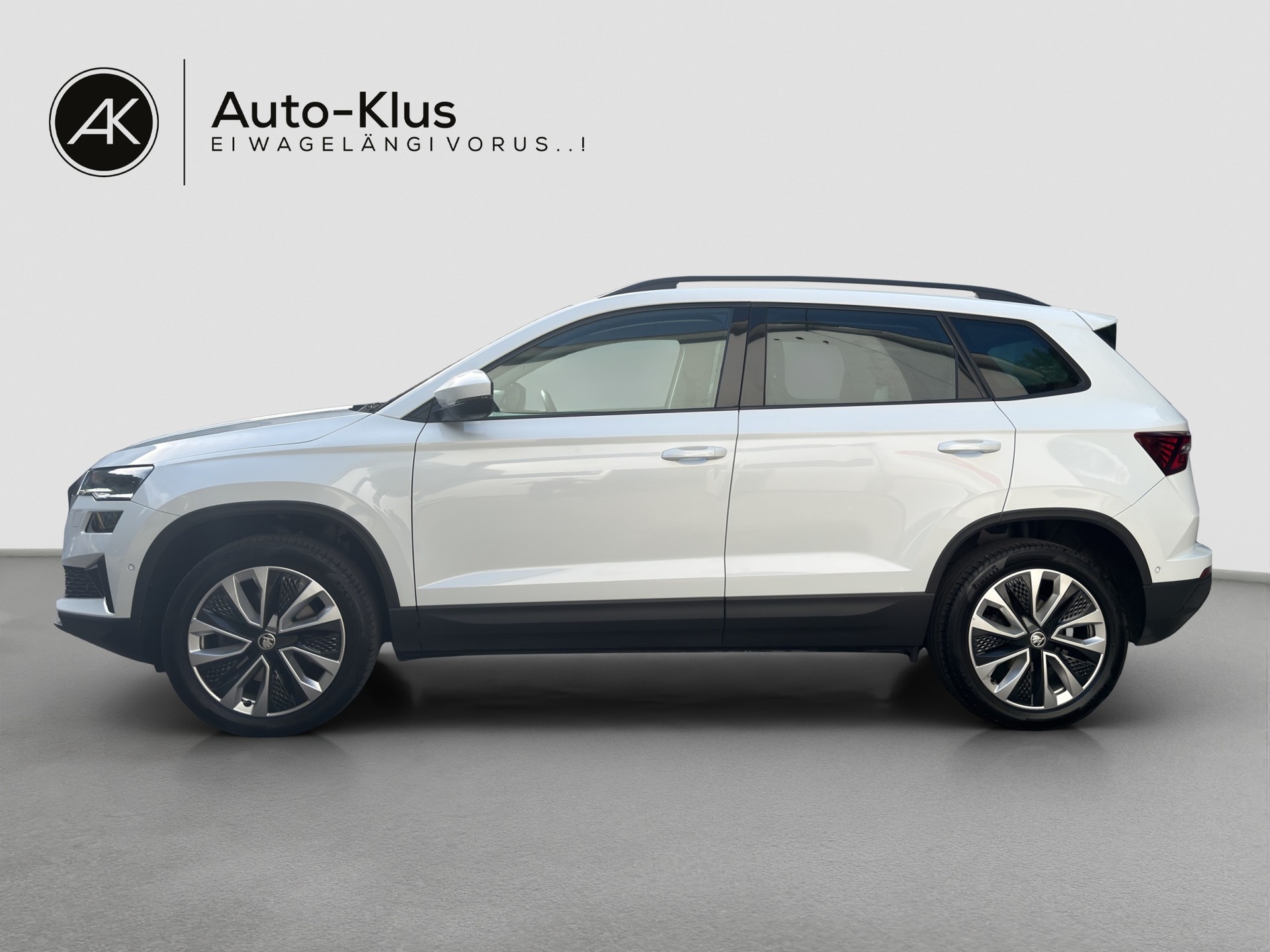 SKODA Karoq 2.0 TDI CR Ambition 4x4 DSG-image-2