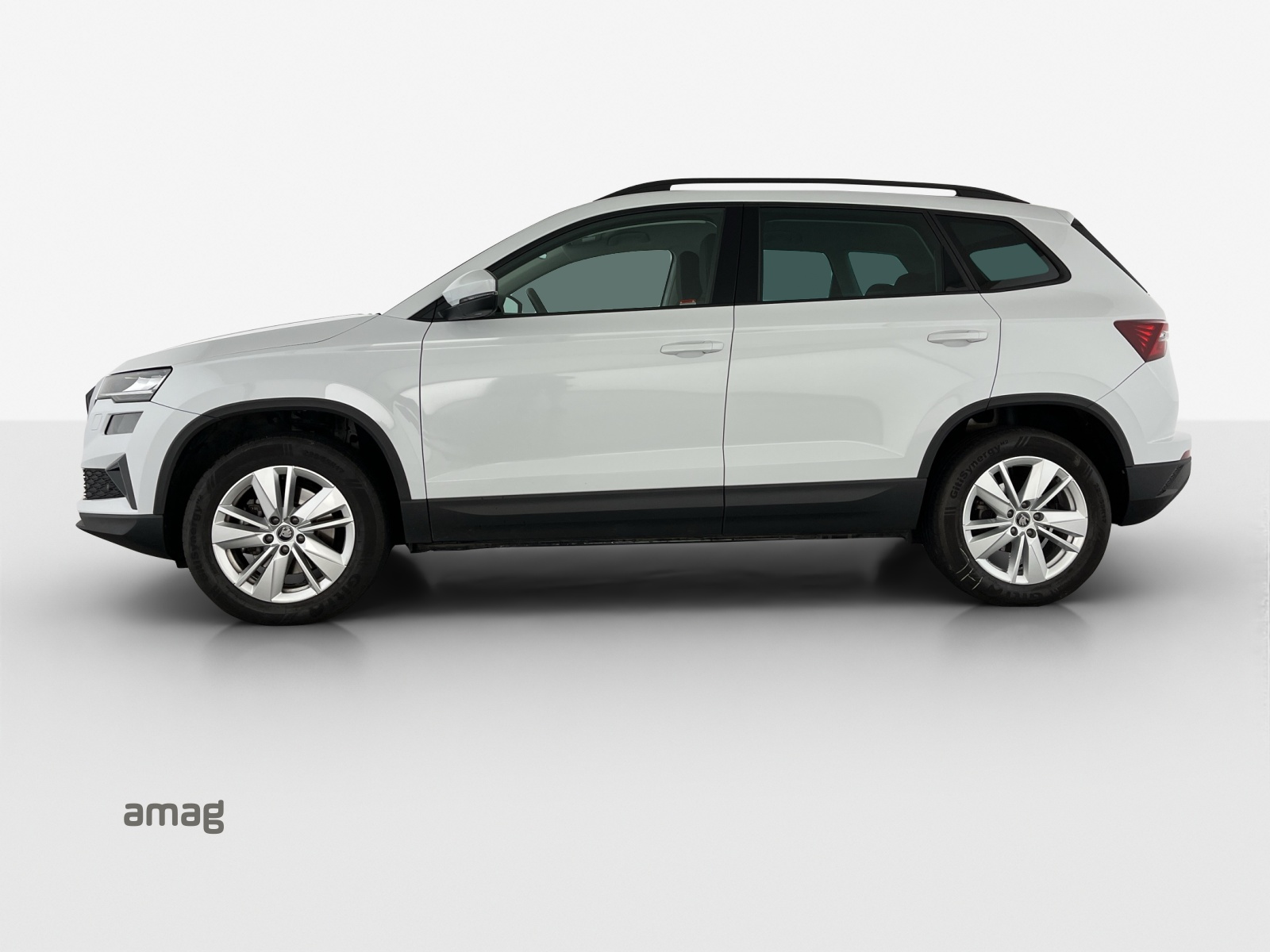 SKODA Karoq 2.0 TDI CR Selection 4x4 DSG-image-1