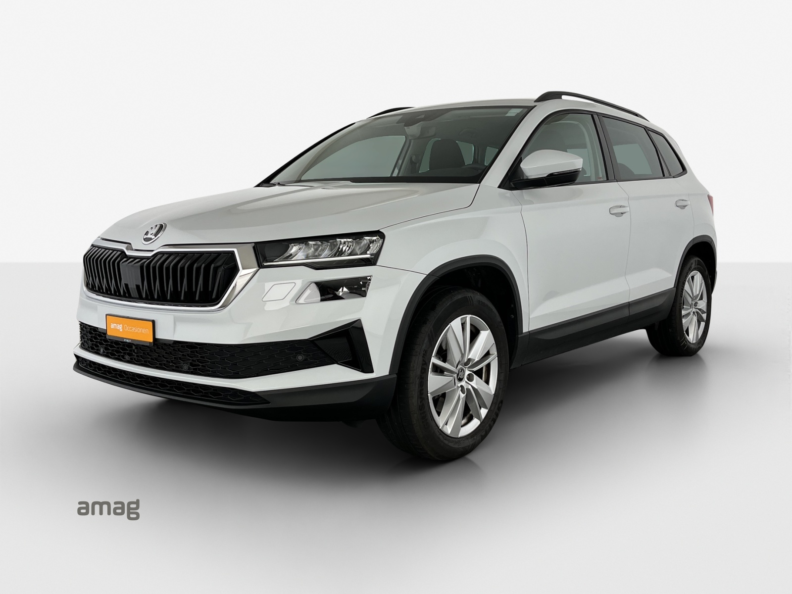 SKODA Karoq 2.0 TDI CR Selection 4x4 DSG-image-0
