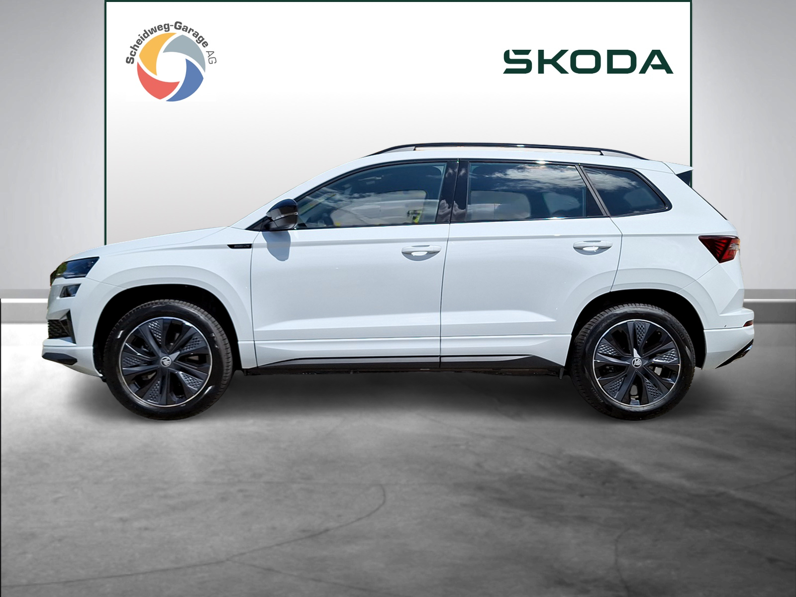 SKODA Karoq 2.0 TSI Dynamic Limited Edition 4x4 DSG-showroom-element-2
