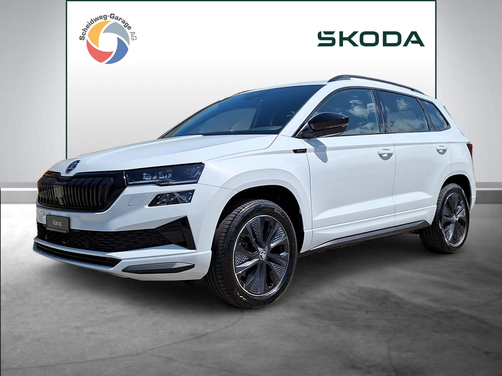SKODA Karoq 2.0 TSI Dynamic Limited Edition 4x4 DSG