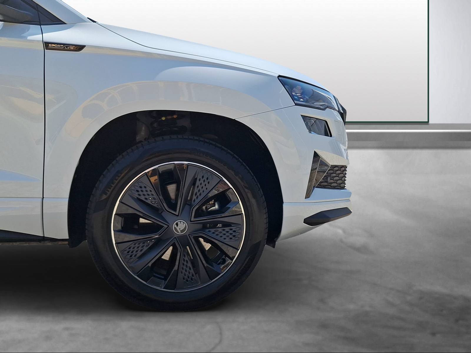 SKODA Karoq 2.0 TSI Dynamic Limited Edition 4x4 DSG-image-14