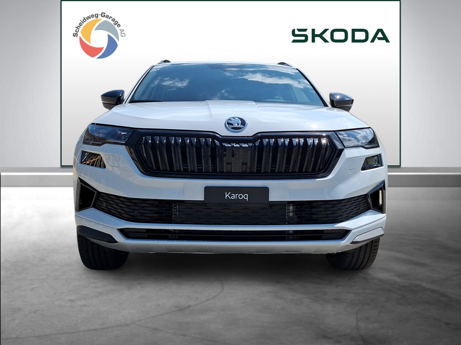 SKODA Karoq 2.0 TSI Dynamic Limited Edition 4x4 DSG-showroom-element-1