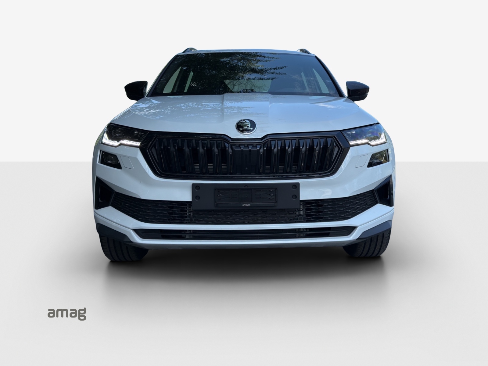 SKODA Karoq 2.0 TSI SportLine 4x4 DSG-image-6