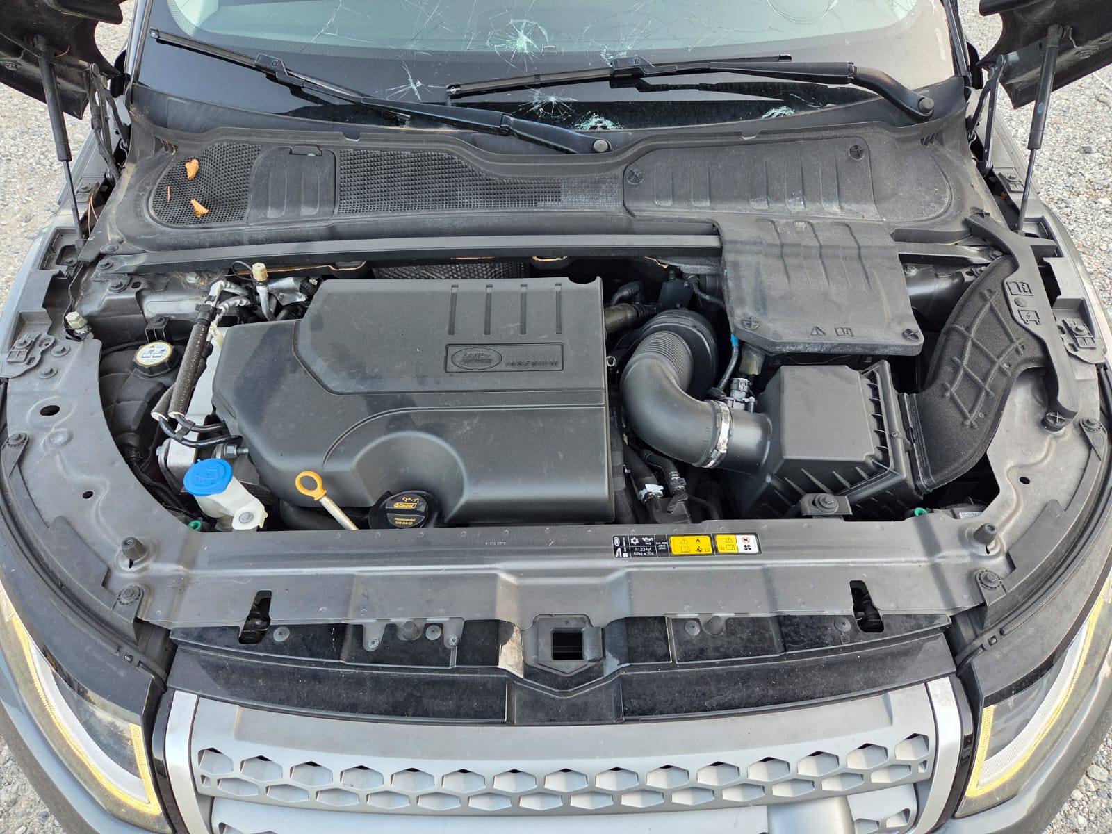 LAND ROVER Range Rover Evoque 2.0 Si4 SE Advantage AT9-image-15