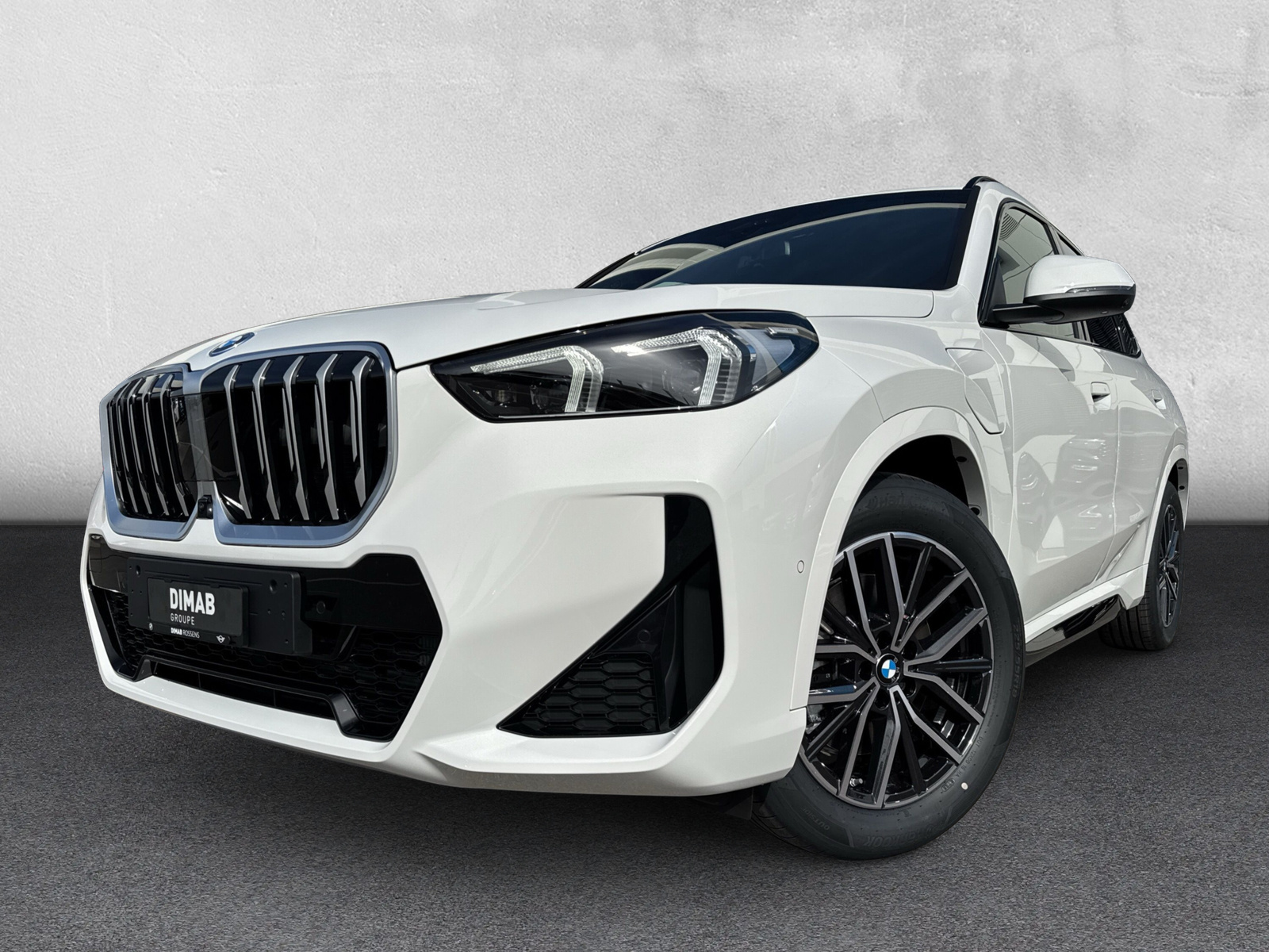 BMW X1 xDrive 30e M Sport-image-8