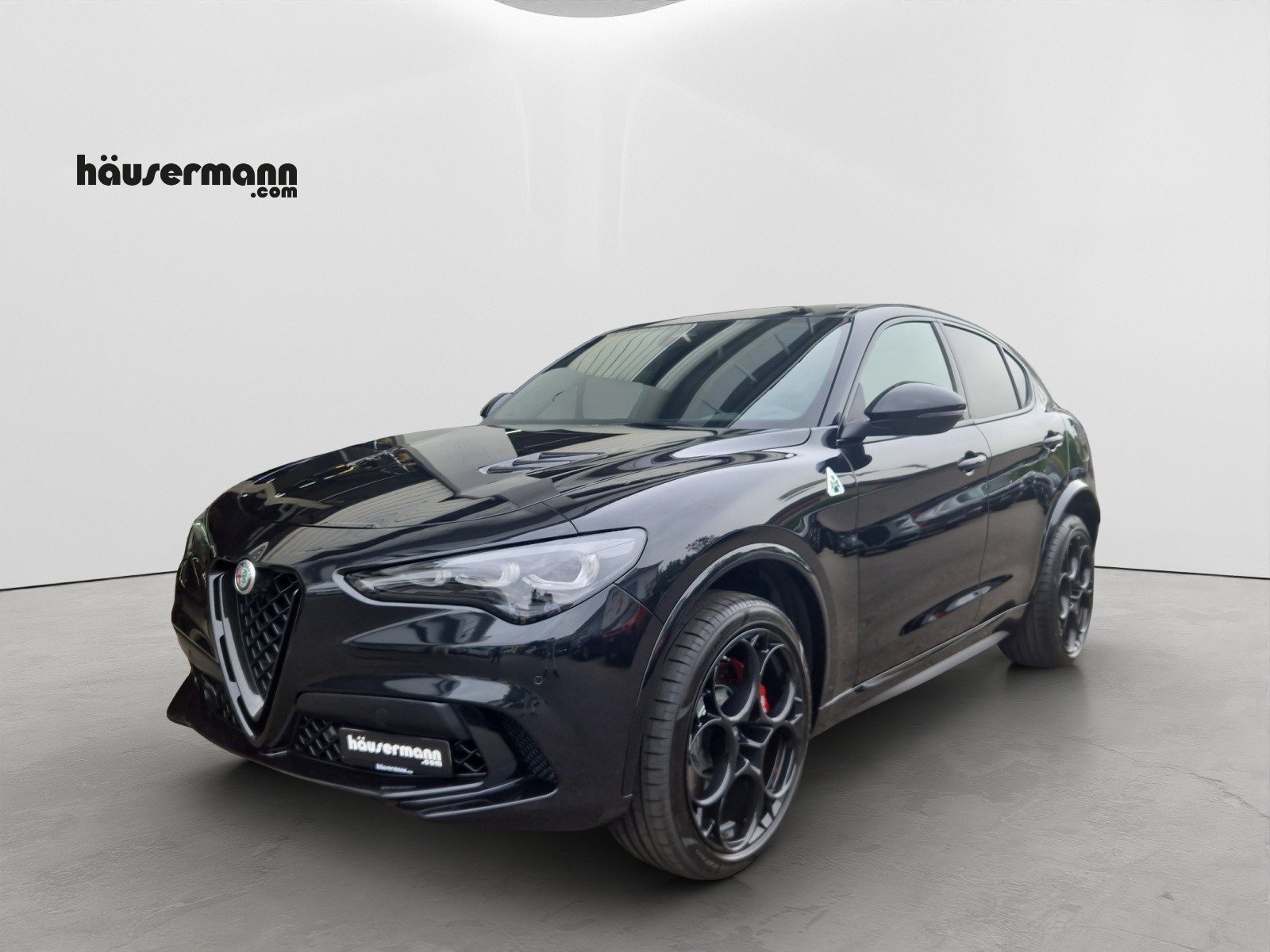 ALFA ROMEO Stelvio 2.9 V6 Biturbo Q4 Quadrifoglio-image-0