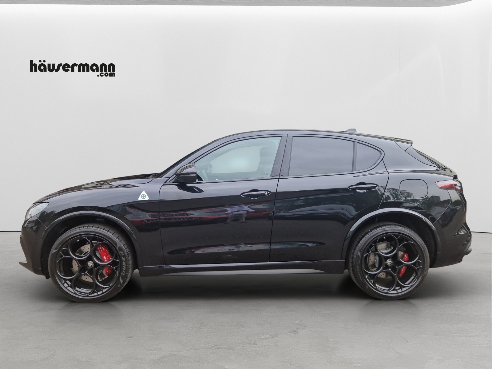 ALFA ROMEO Stelvio 2.9 V6 Biturbo Q4 Quadrifoglio-image-2