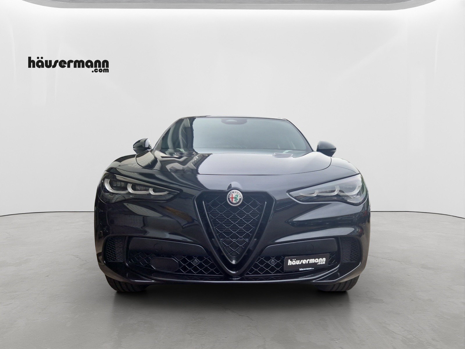 ALFA ROMEO Stelvio 2.9 V6 Biturbo Q4 Quadrifoglio-image-1