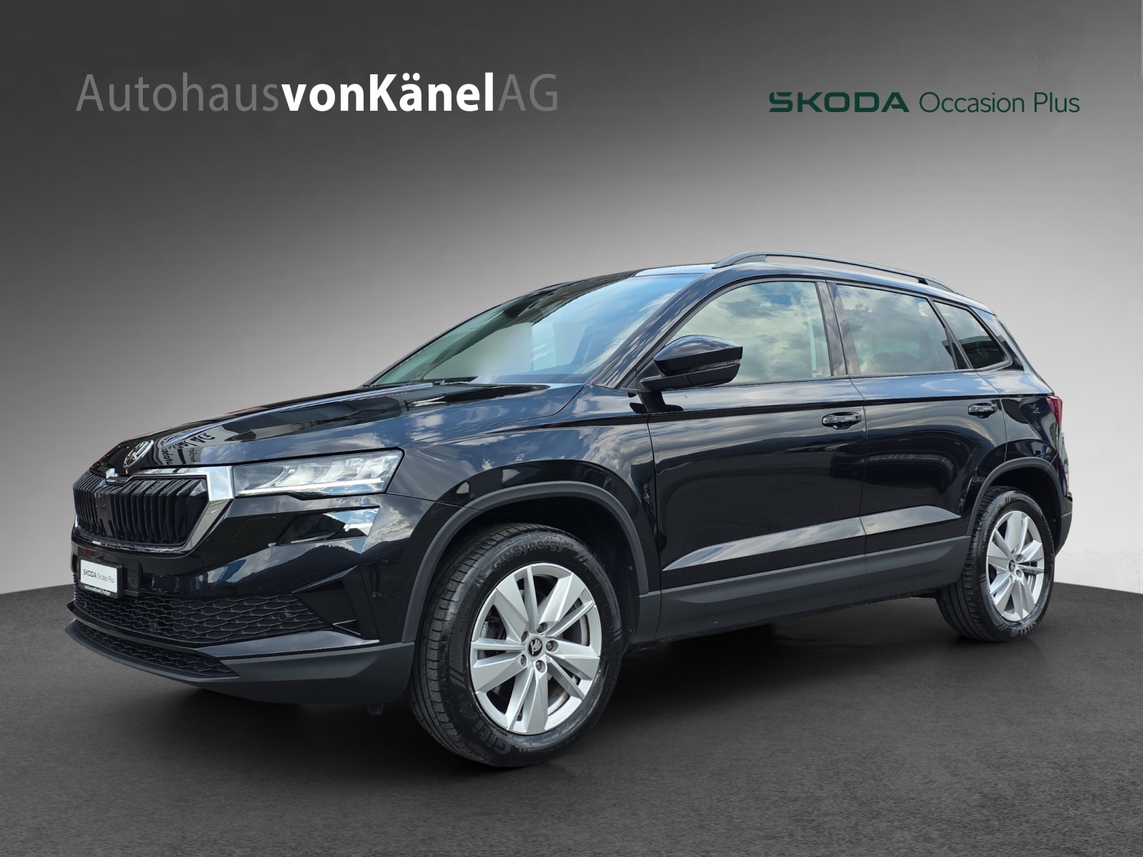 SKODA Karoq 2.0 TDI CR Selection 4x4 DSG-image-0