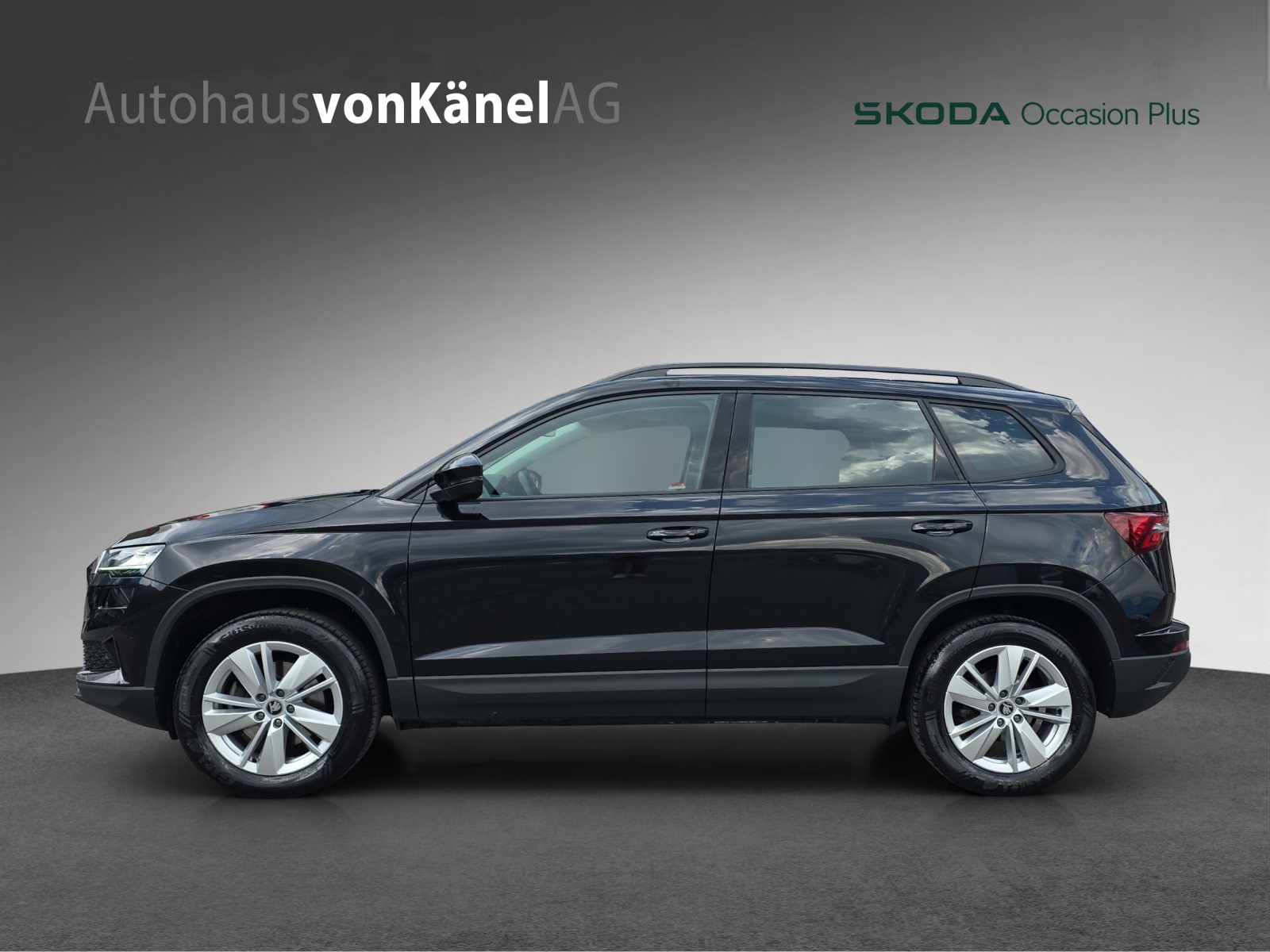 SKODA Karoq 2.0 TDI CR Selection 4x4 DSG-image-1