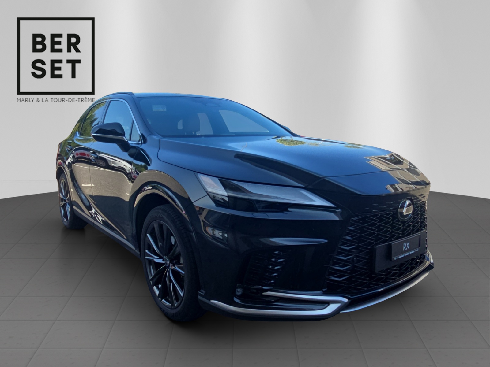 LEXUS RX 350h F-Line-image-6
