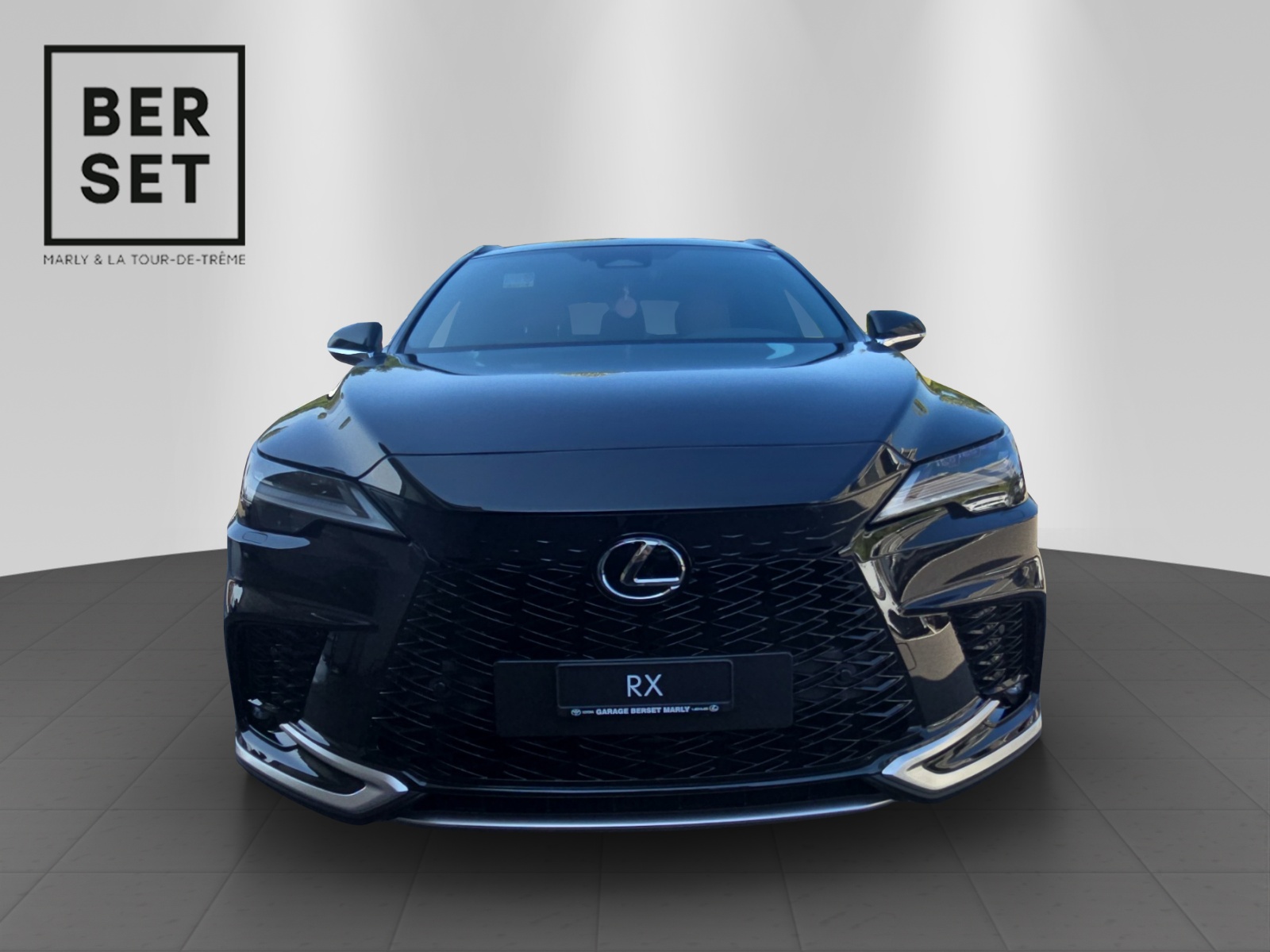LEXUS RX 350h F-Line-image-7