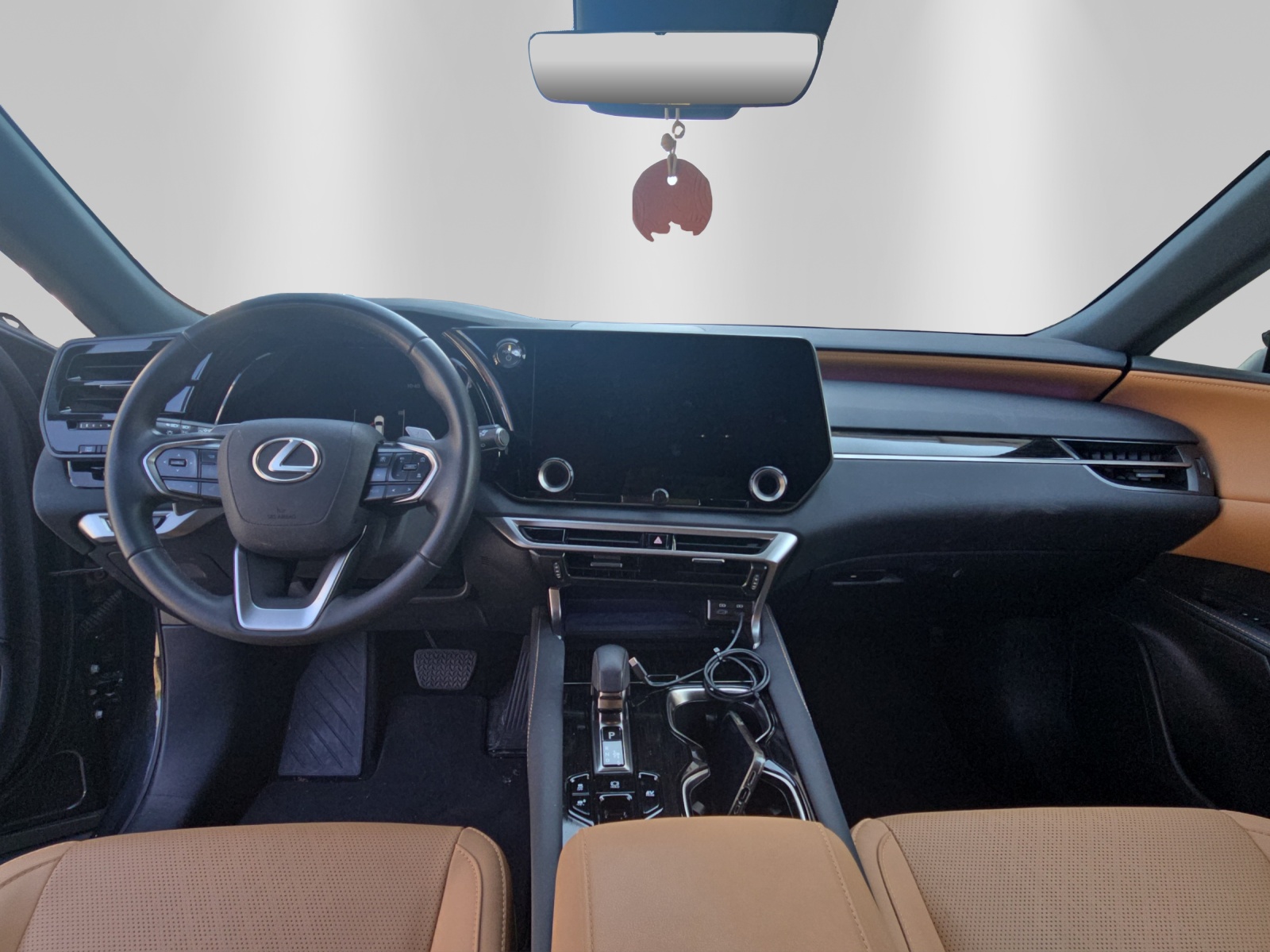 LEXUS RX 350h F-Line-image-10