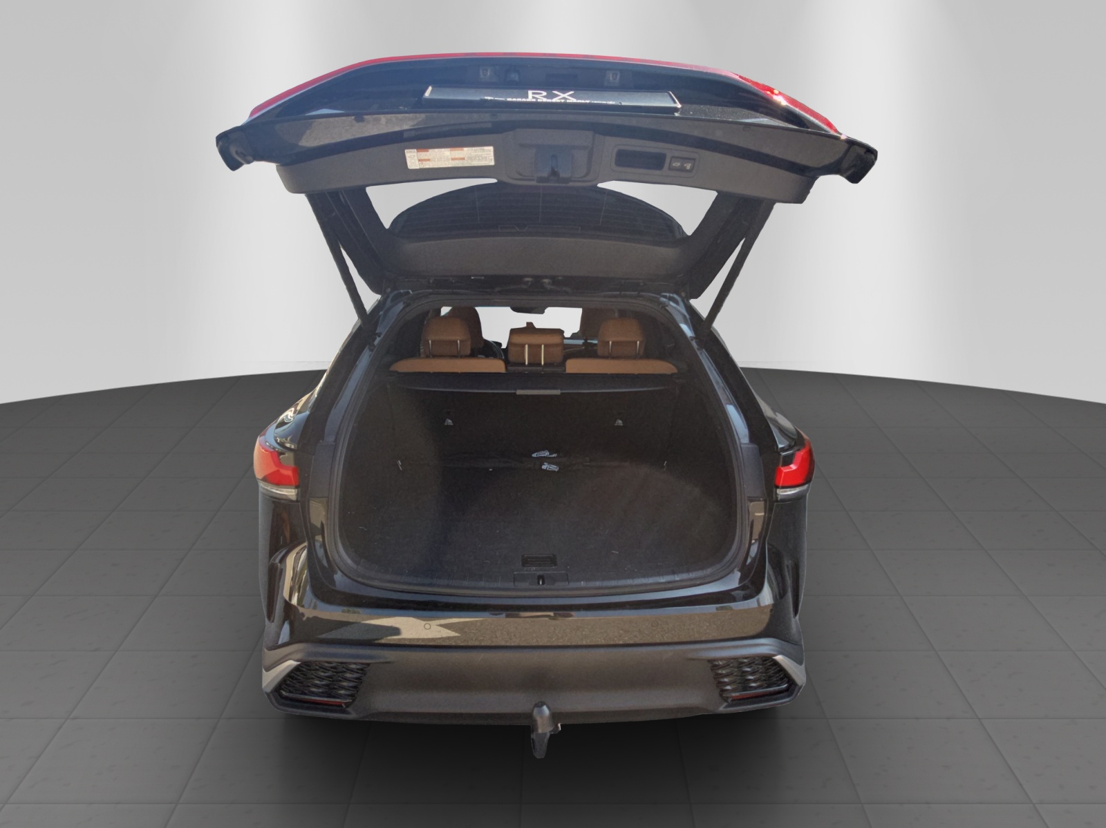 LEXUS RX 350h F-Line-image-12