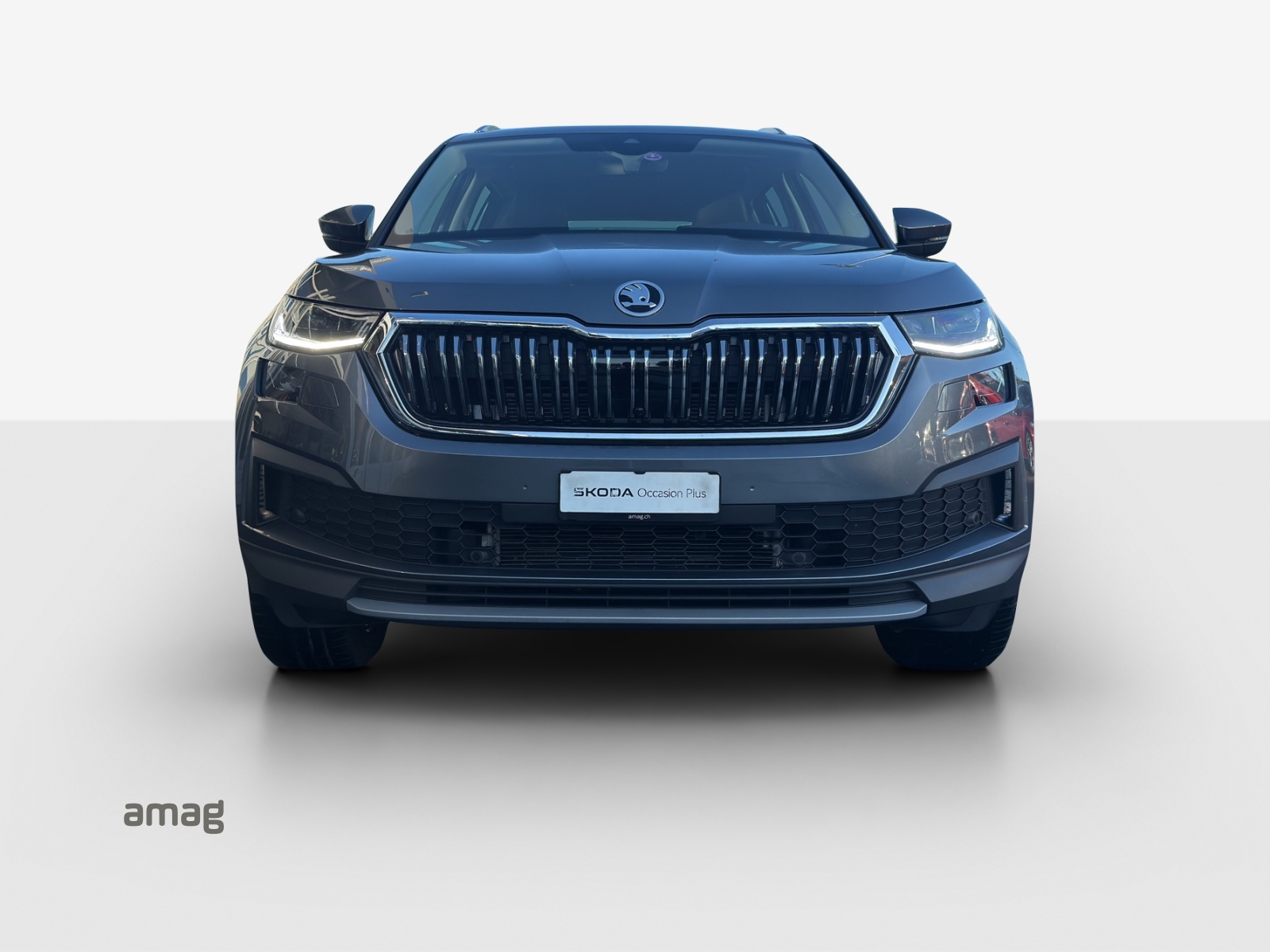 SKODA Kodiaq 2.0 TSI 4x4 Style-image-6