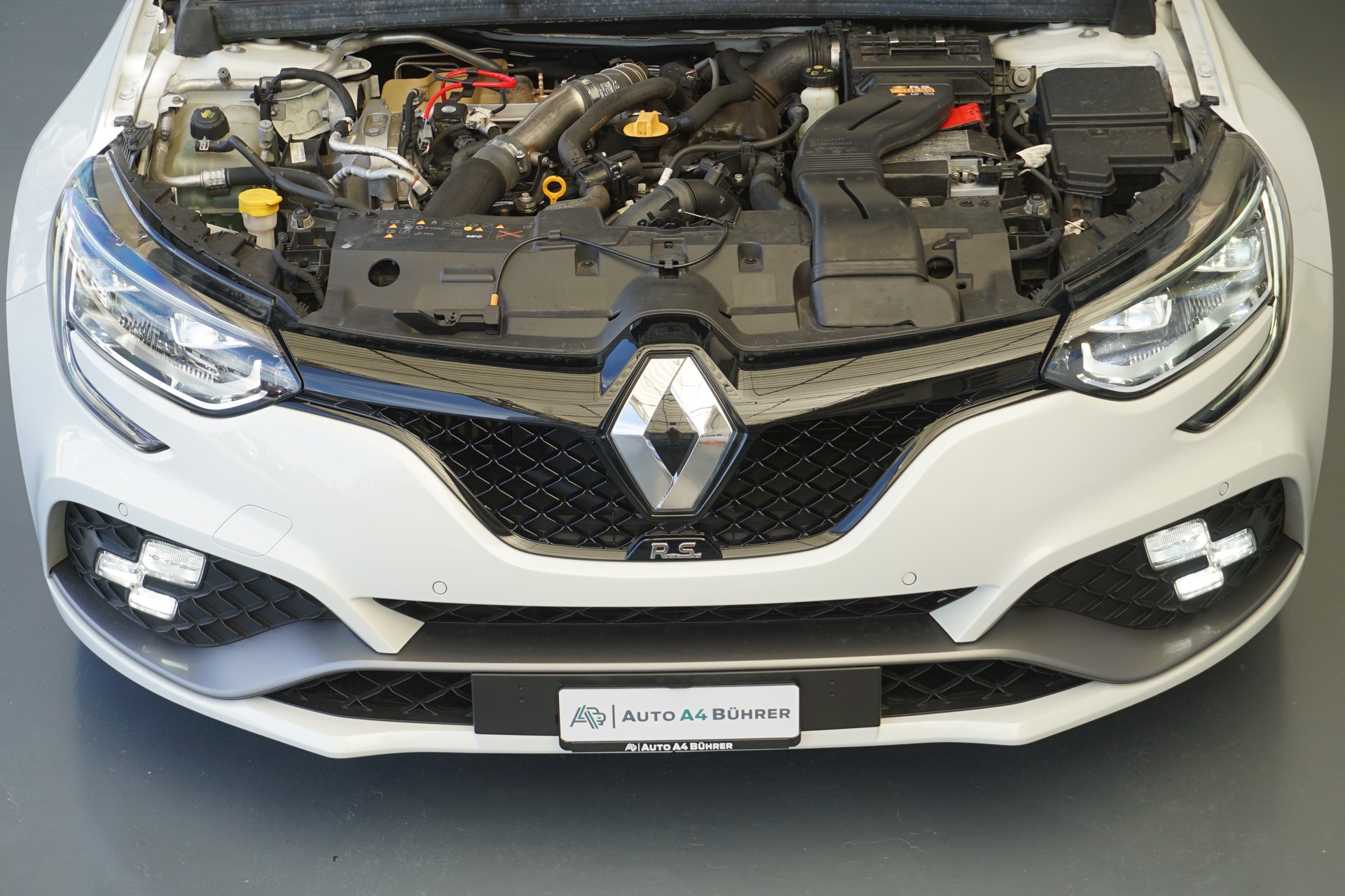 RENAULT Mégane Trophy 300-image-10