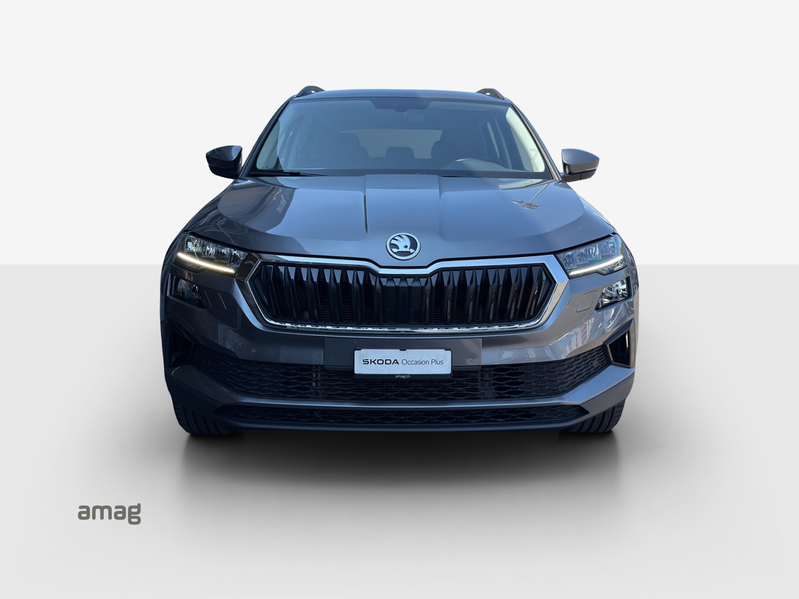 SKODA Karoq 1.5 TSI Ambition DSG-image-6