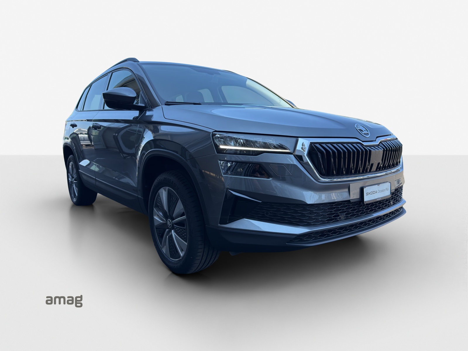 SKODA Karoq 1.5 TSI Ambition DSG-image-5