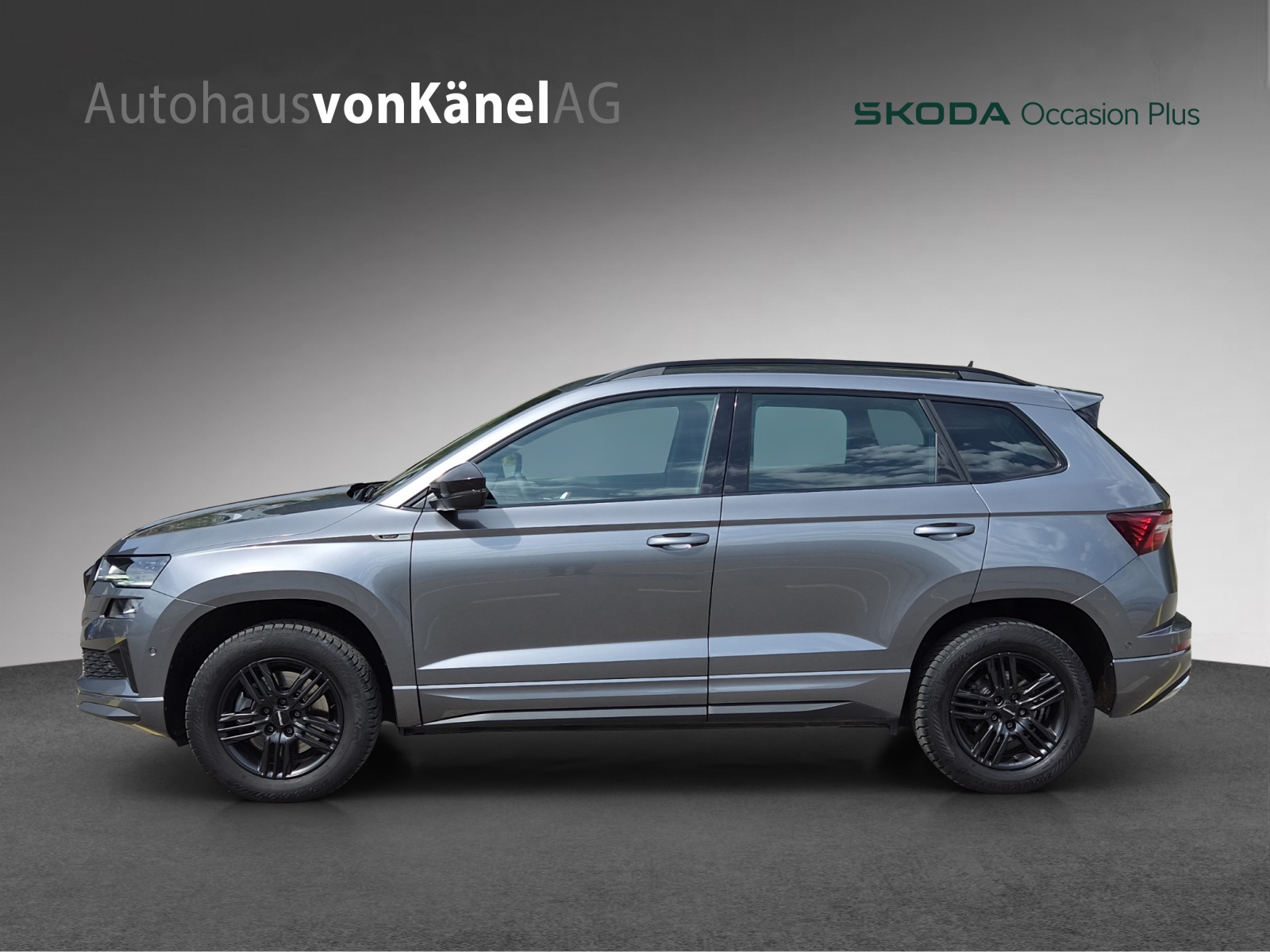 SKODA Karoq 2.0 TDI CR Sport Line 4x4 DSG-image-1