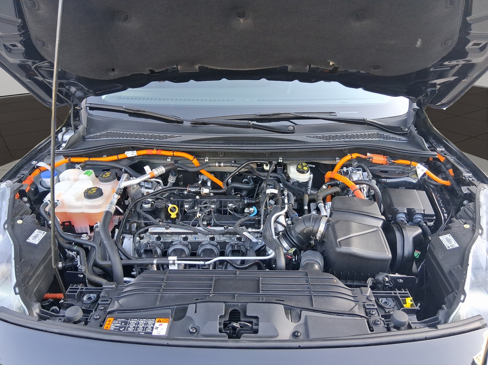 FORD Kuga 2.5 PHEV Titanium 2WD-image-19