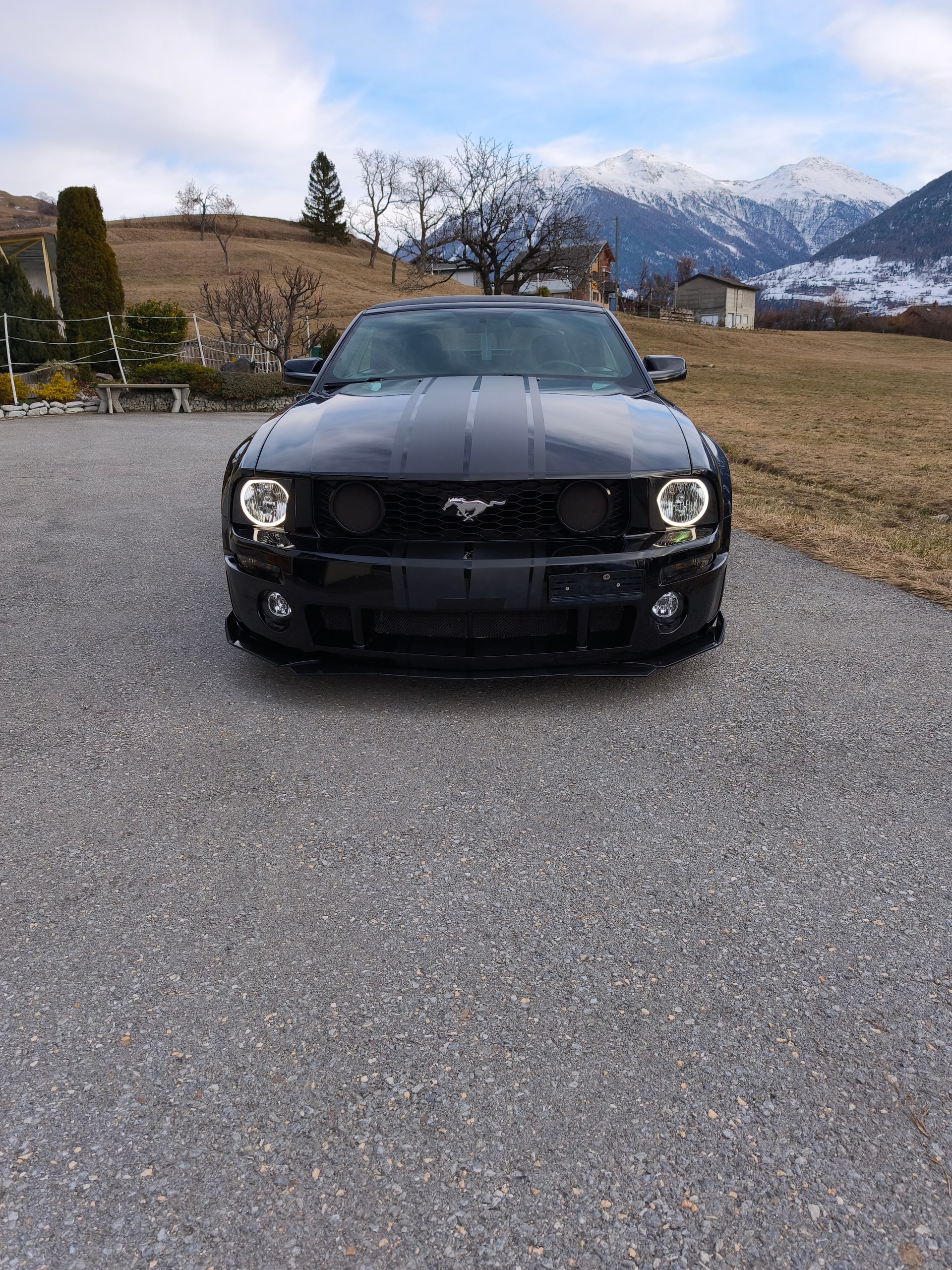 FORD Mustang GT-image-1