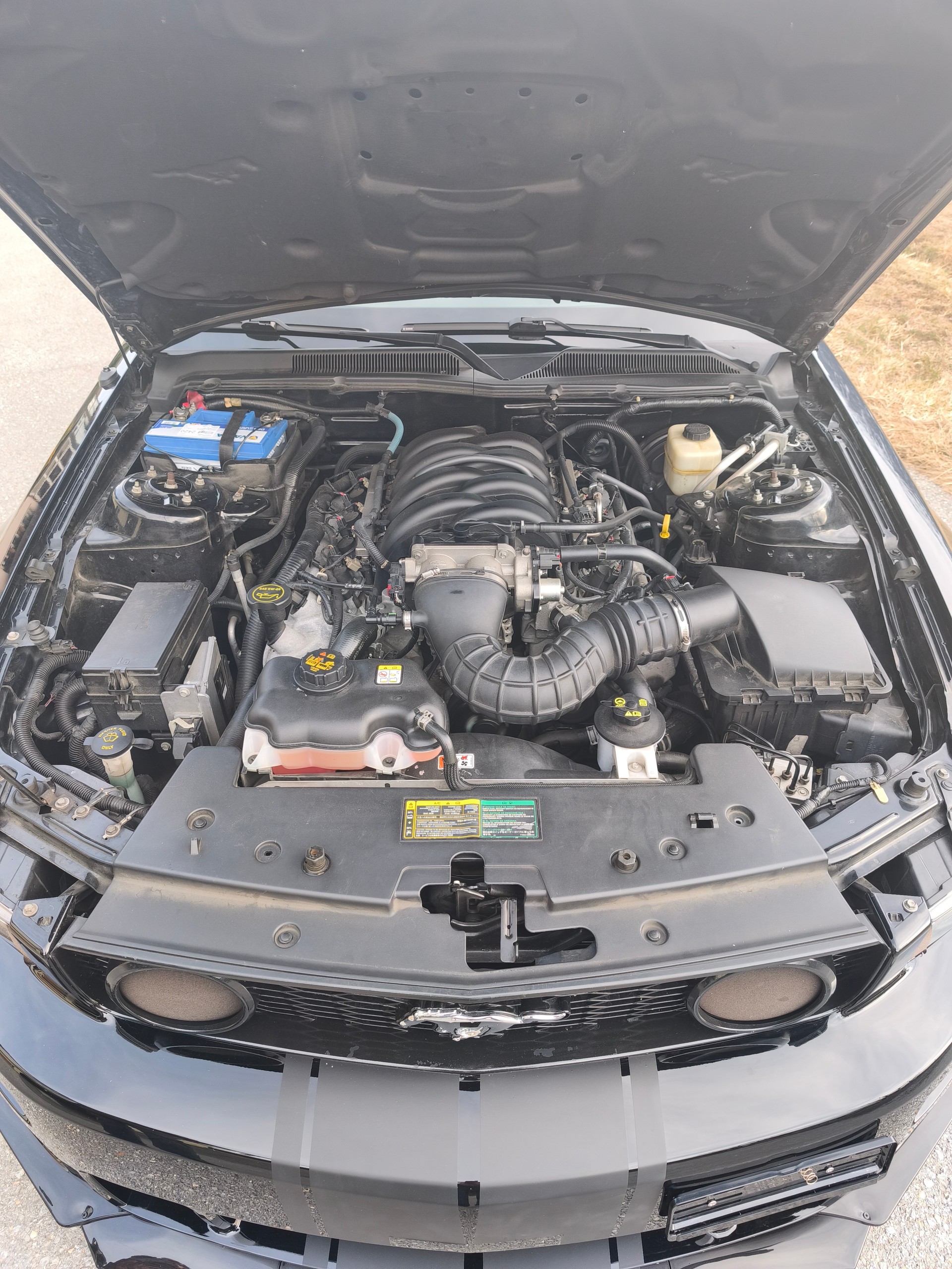 FORD Mustang GT-image-12