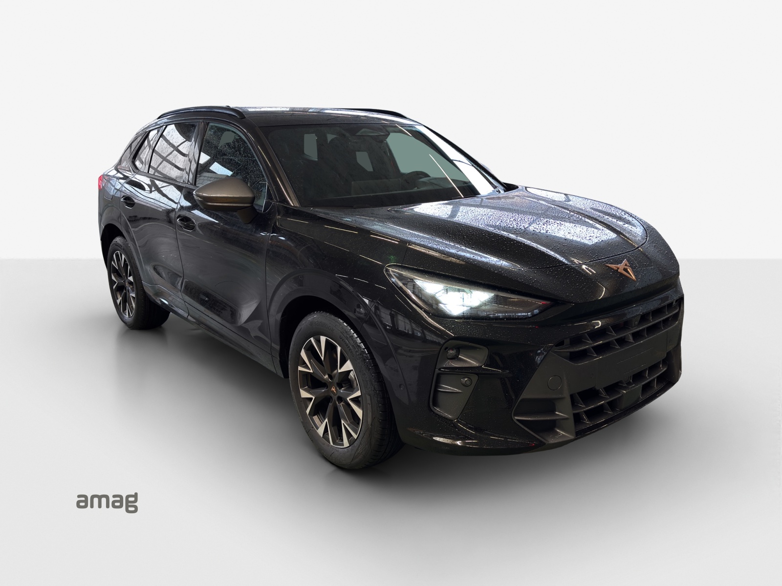 CUPRA Terramar 1.5 eHybrid DSG Business Edition-image-5