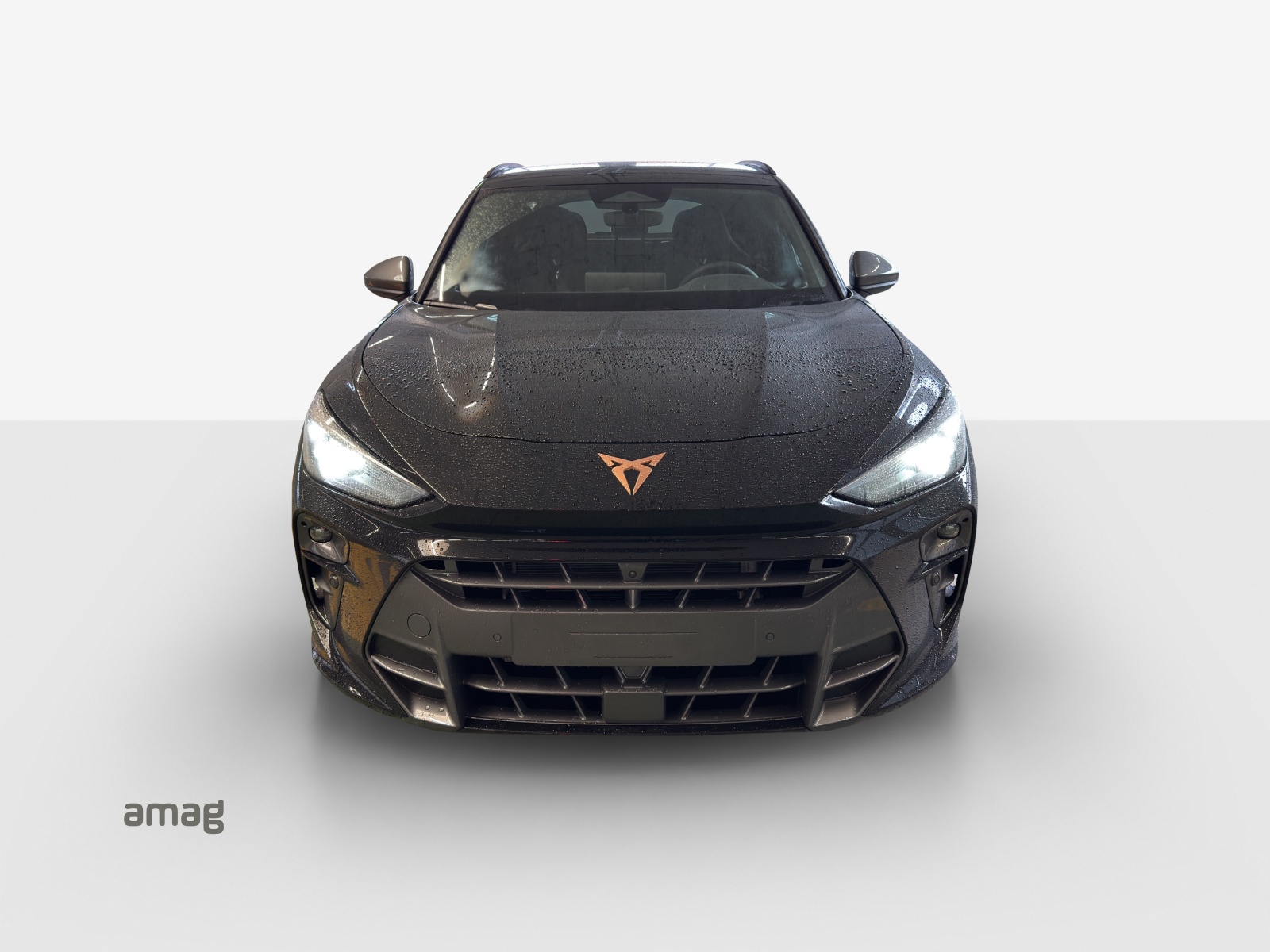 CUPRA Terramar 1.5 eHybrid DSG Business Edition-image-6