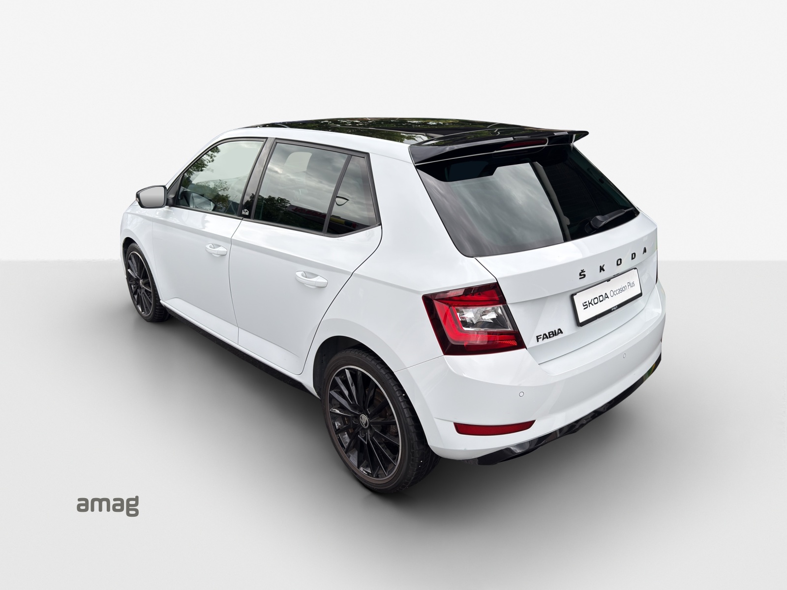 SKODA Fabia 1.0 TSI Monte Carlo DSG-image-2