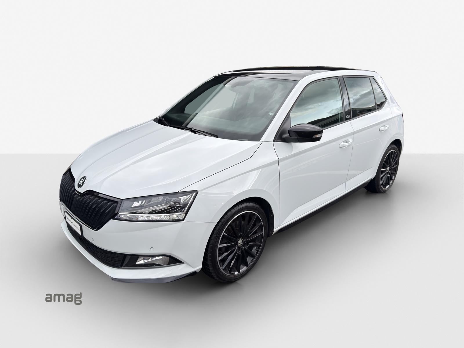 SKODA Fabia 1.0 TSI Monte Carlo DSG-image-0