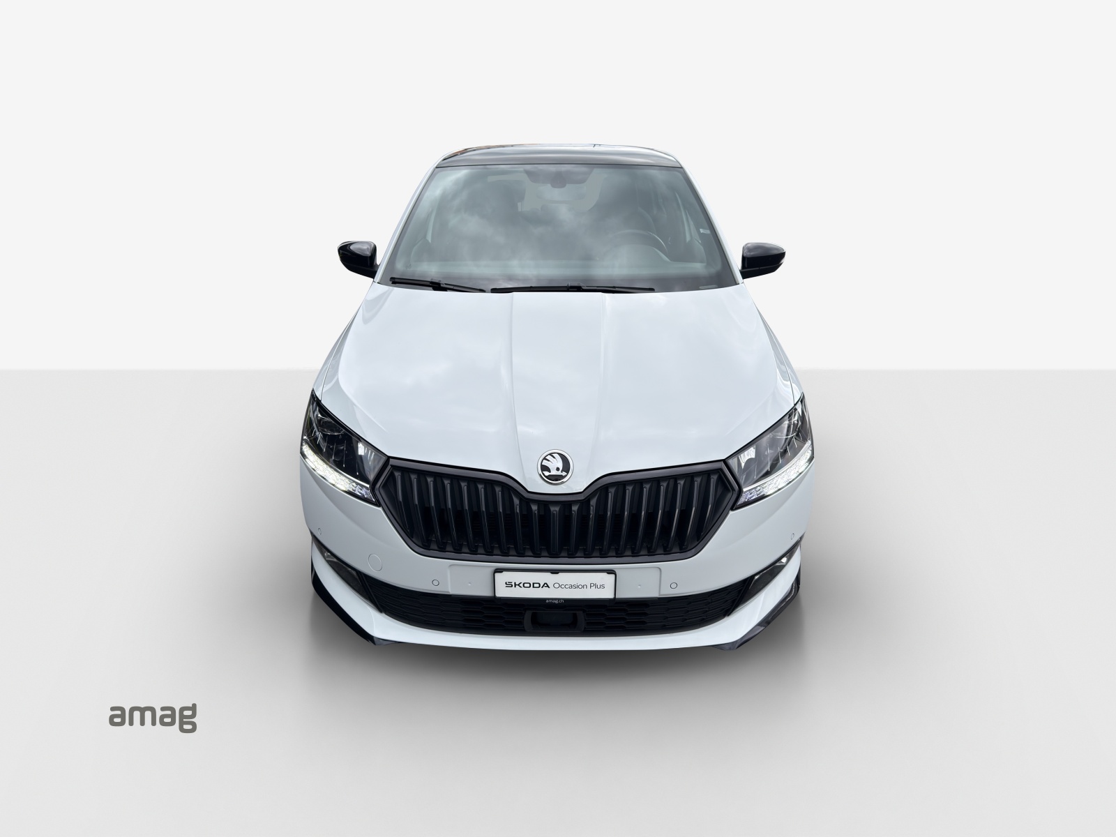SKODA Fabia 1.0 TSI Monte Carlo DSG-image-6