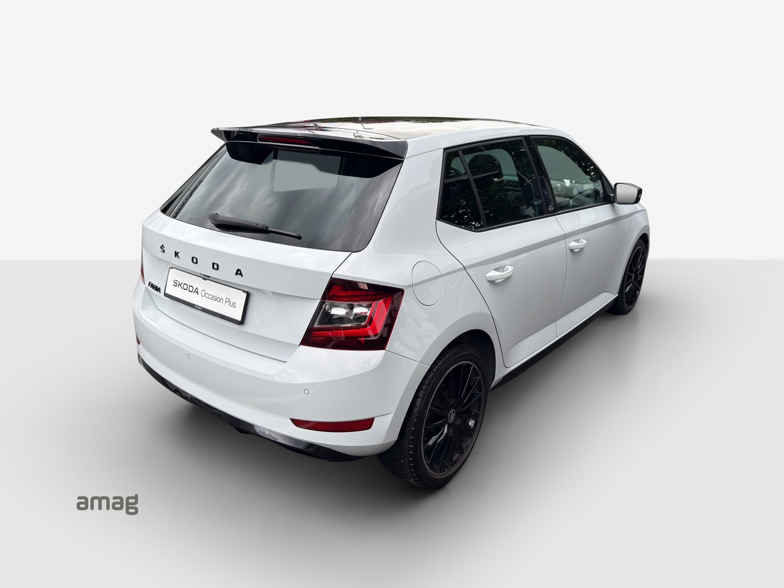 SKODA Fabia 1.0 TSI Monte Carlo DSG-image-4