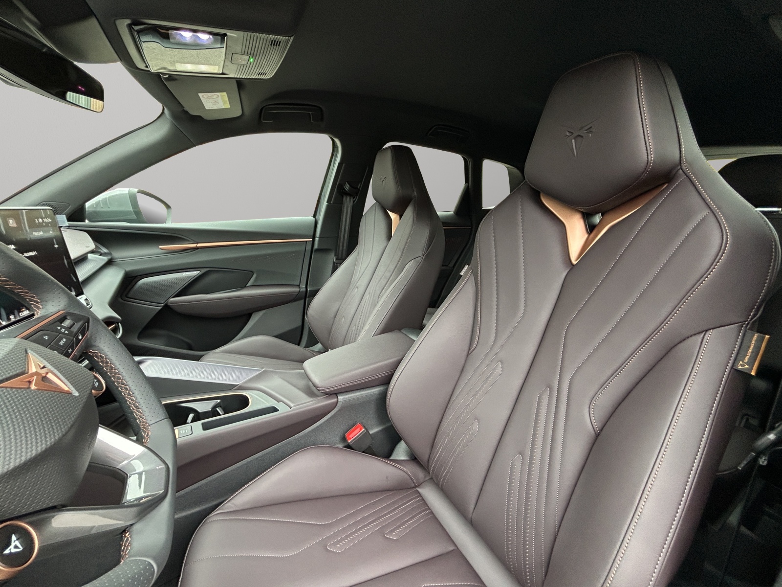 CUPRA Terramar 2.0 TSI DSG 4Drive VZ-image-5