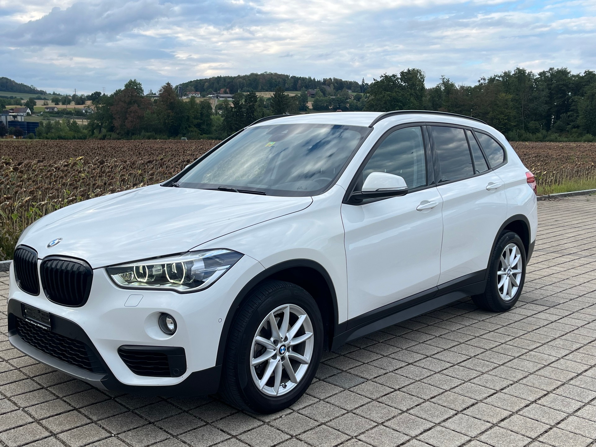 BMW X1 xDrive 18d xLine Steptronic-image-3