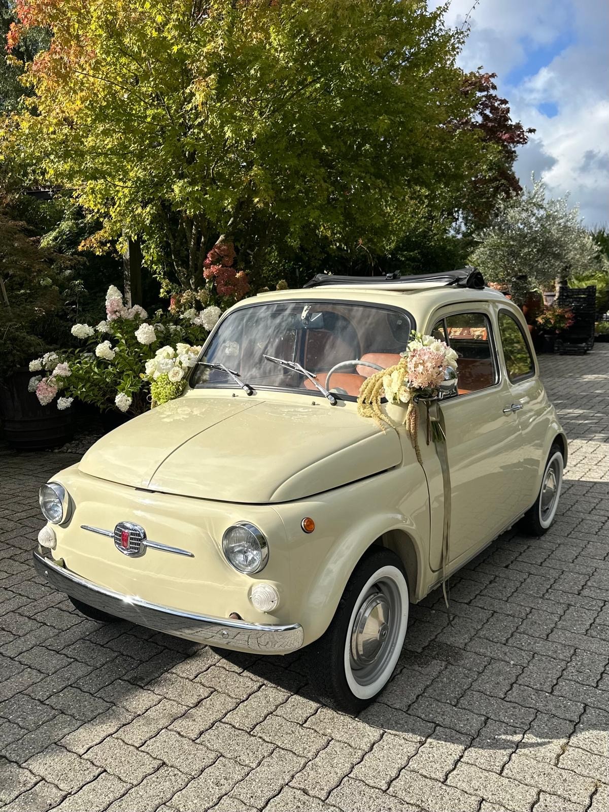 FIAT Nuova-image-0