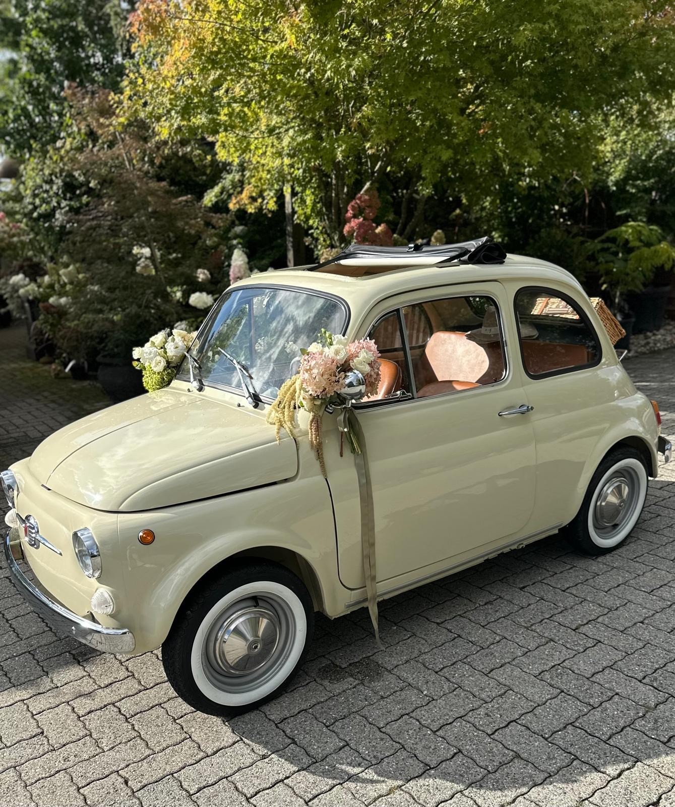 FIAT Nuova-image-1