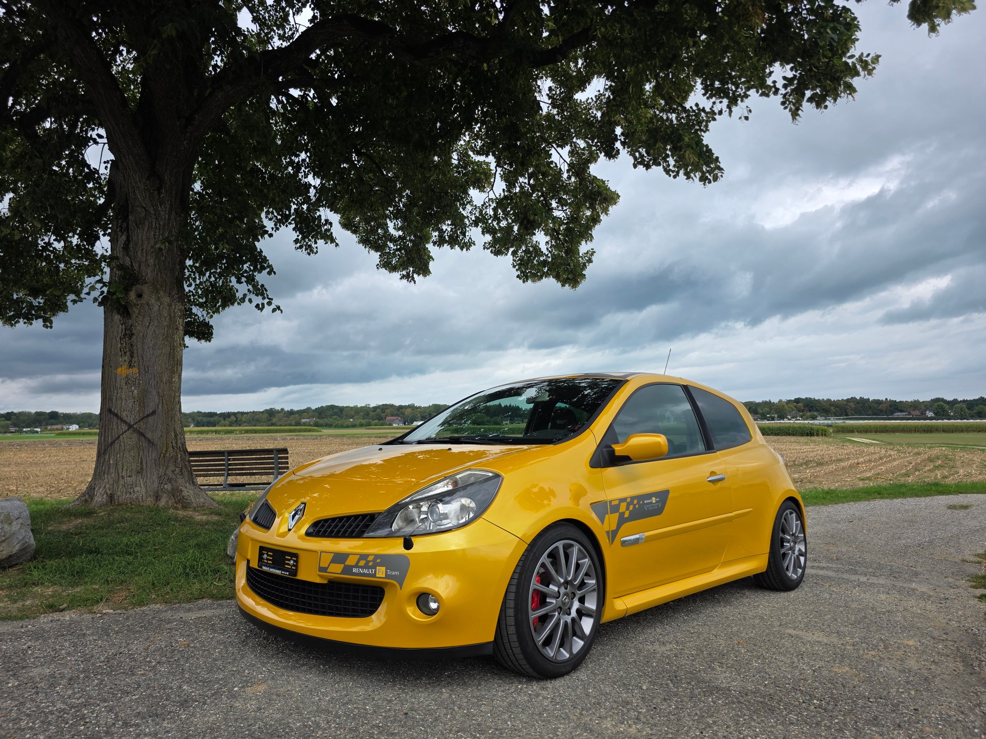 RENAULT Clio 2.0 16V Sport F1 Team