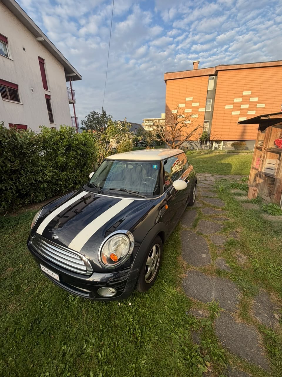 MINI Cooper R56