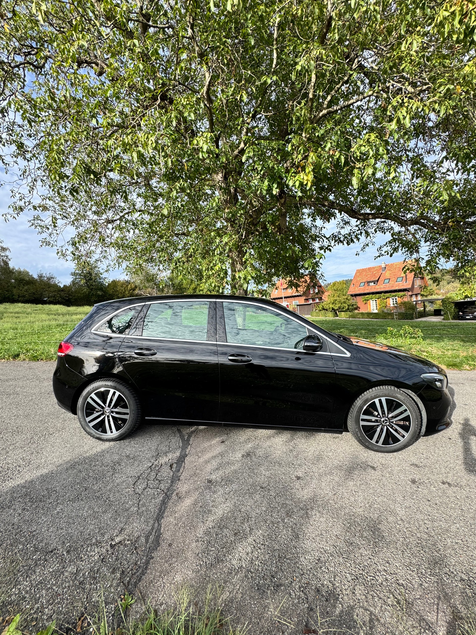 MERCEDES-BENZ B 220 d AMG Line 4matic-image-3